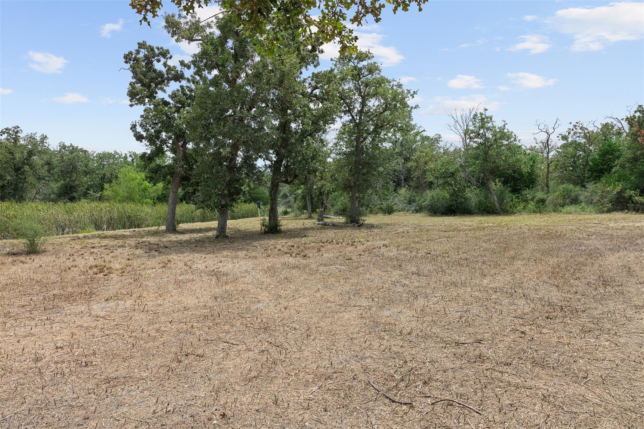 2131 County Road 278 None Property Photo 33