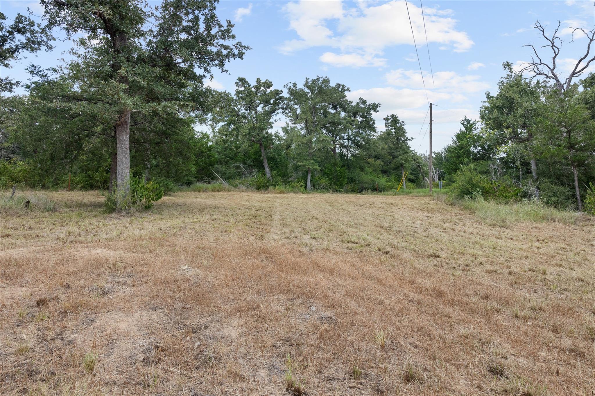 2131 County Road 278 None Property Photo 34