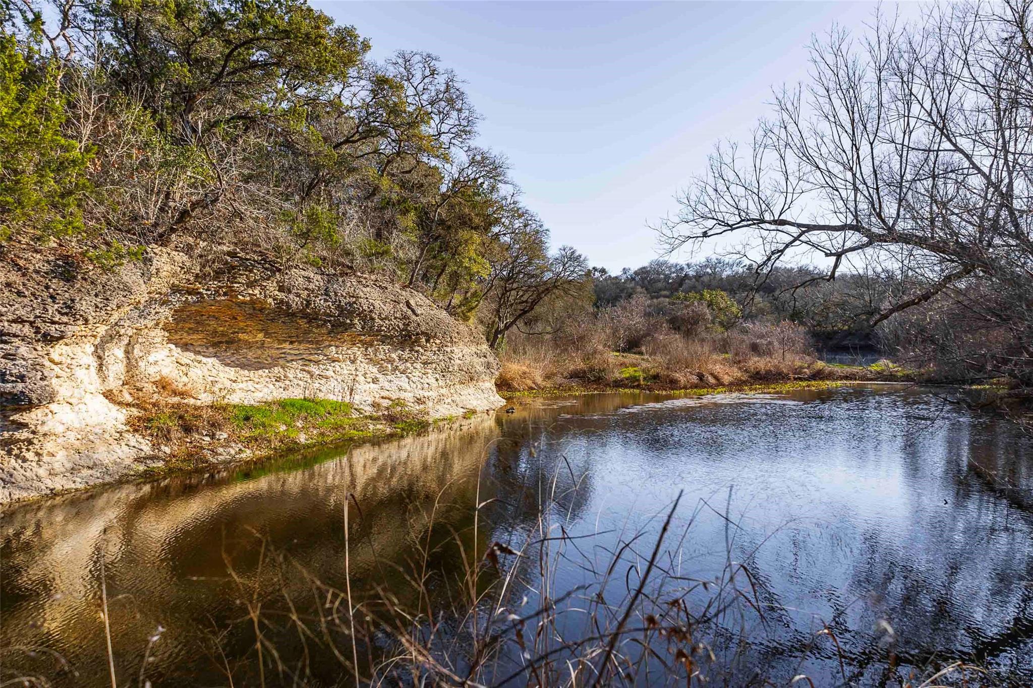 13017 Bob Johnson Ln C Property Photo 4