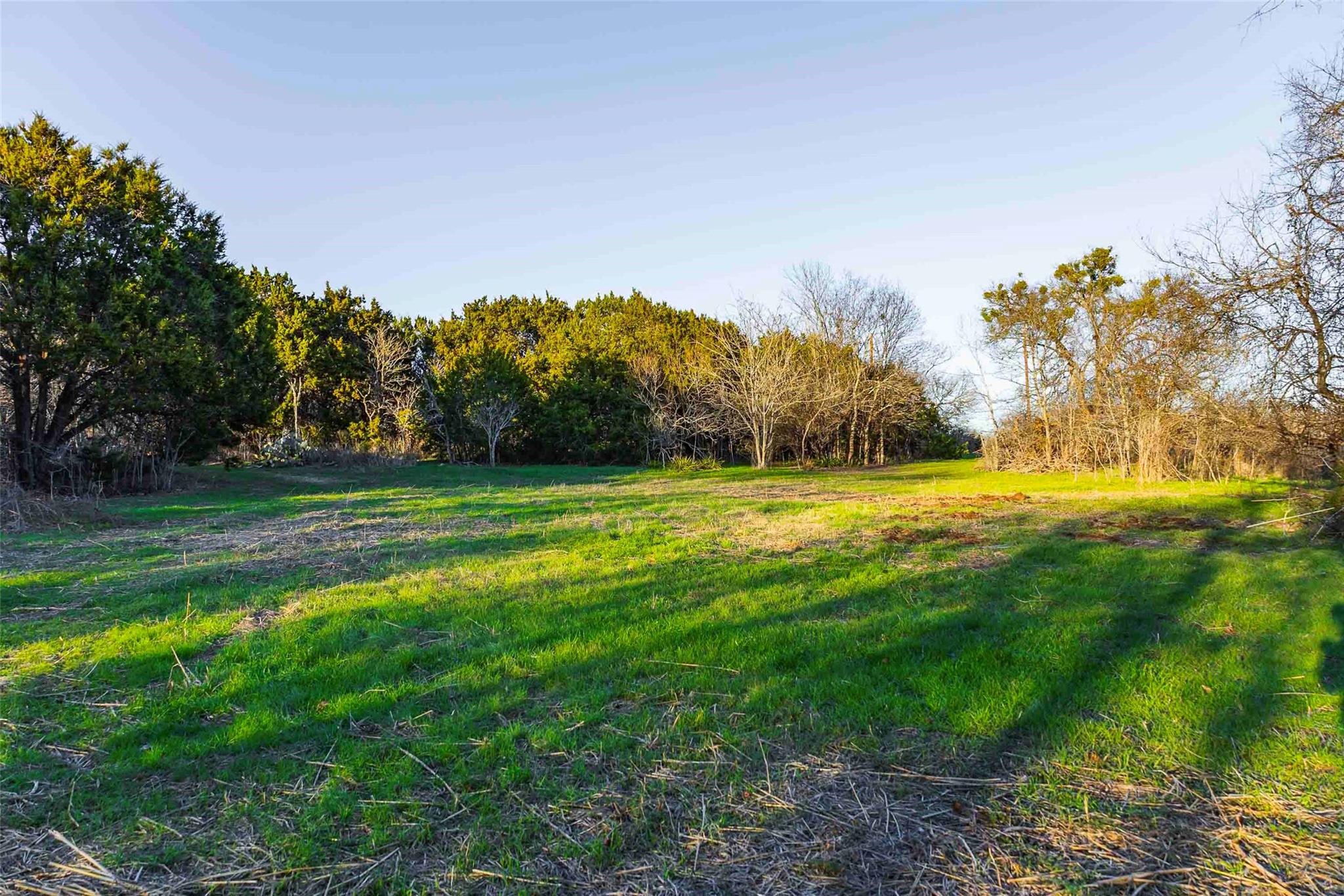 13017 Bob Johnson Ln C Property Photo 6
