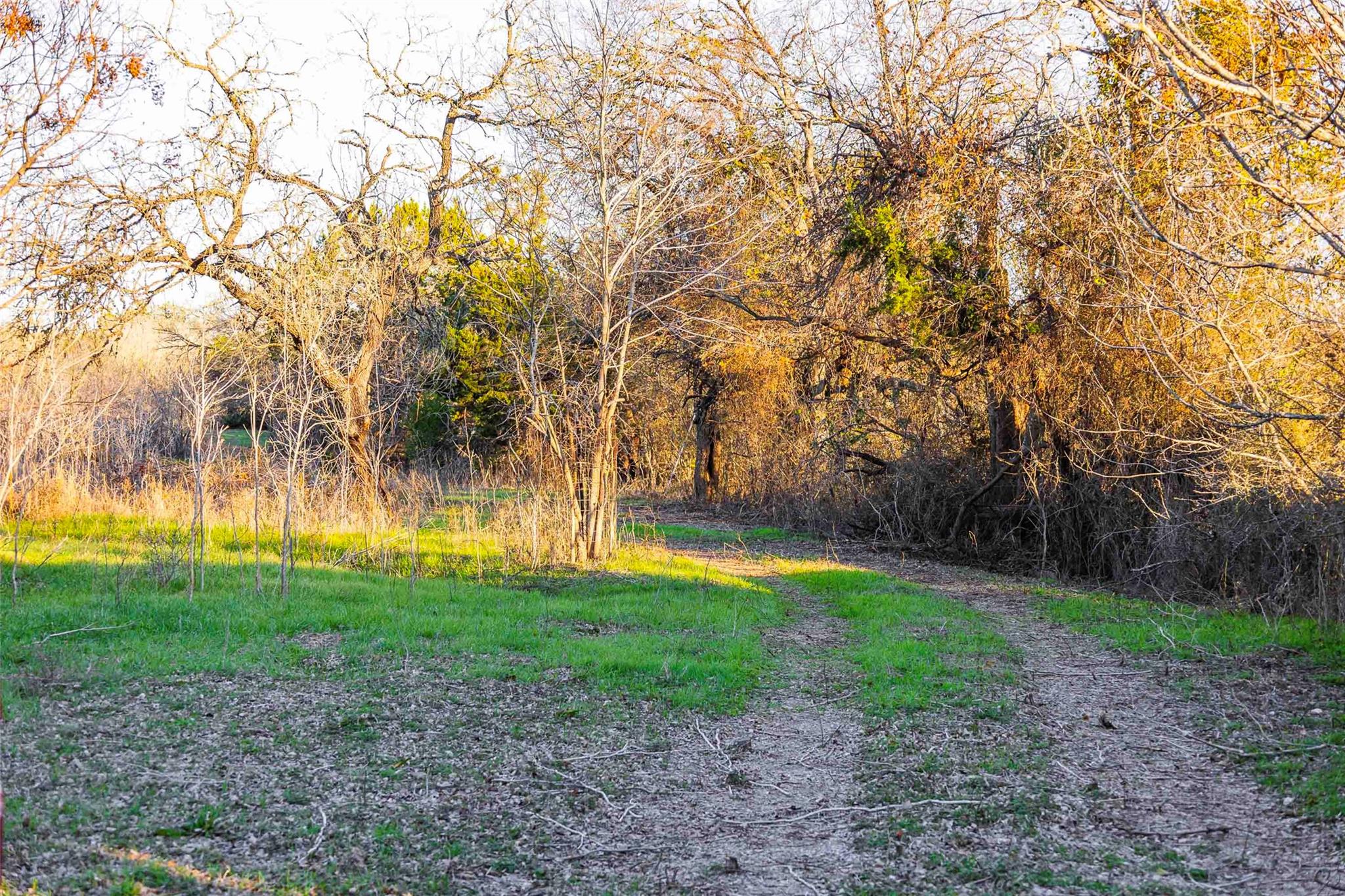 13017 Bob Johnson Ln C Property Photo 7