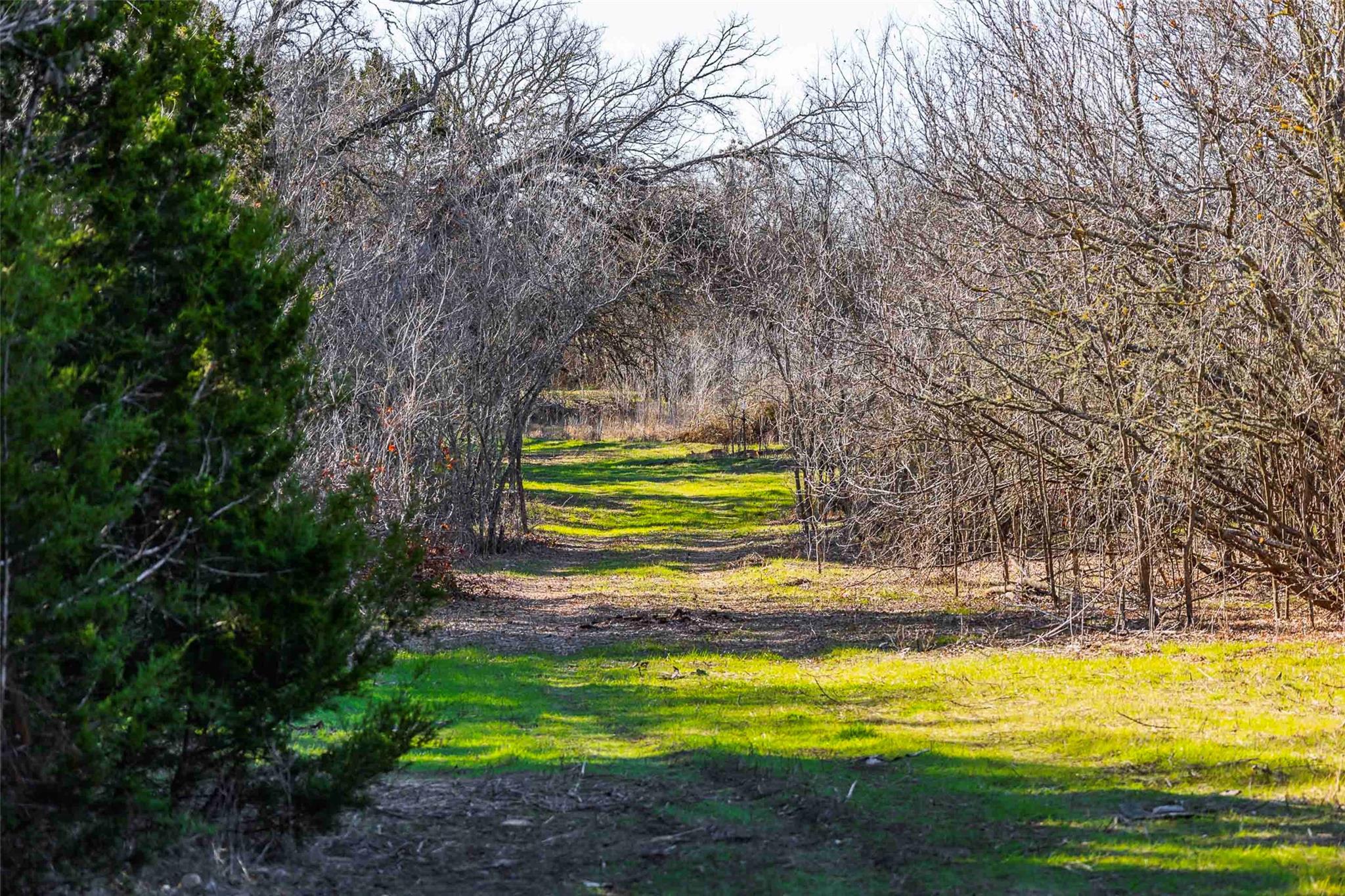 13017 Bob Johnson Ln C Property Photo 8