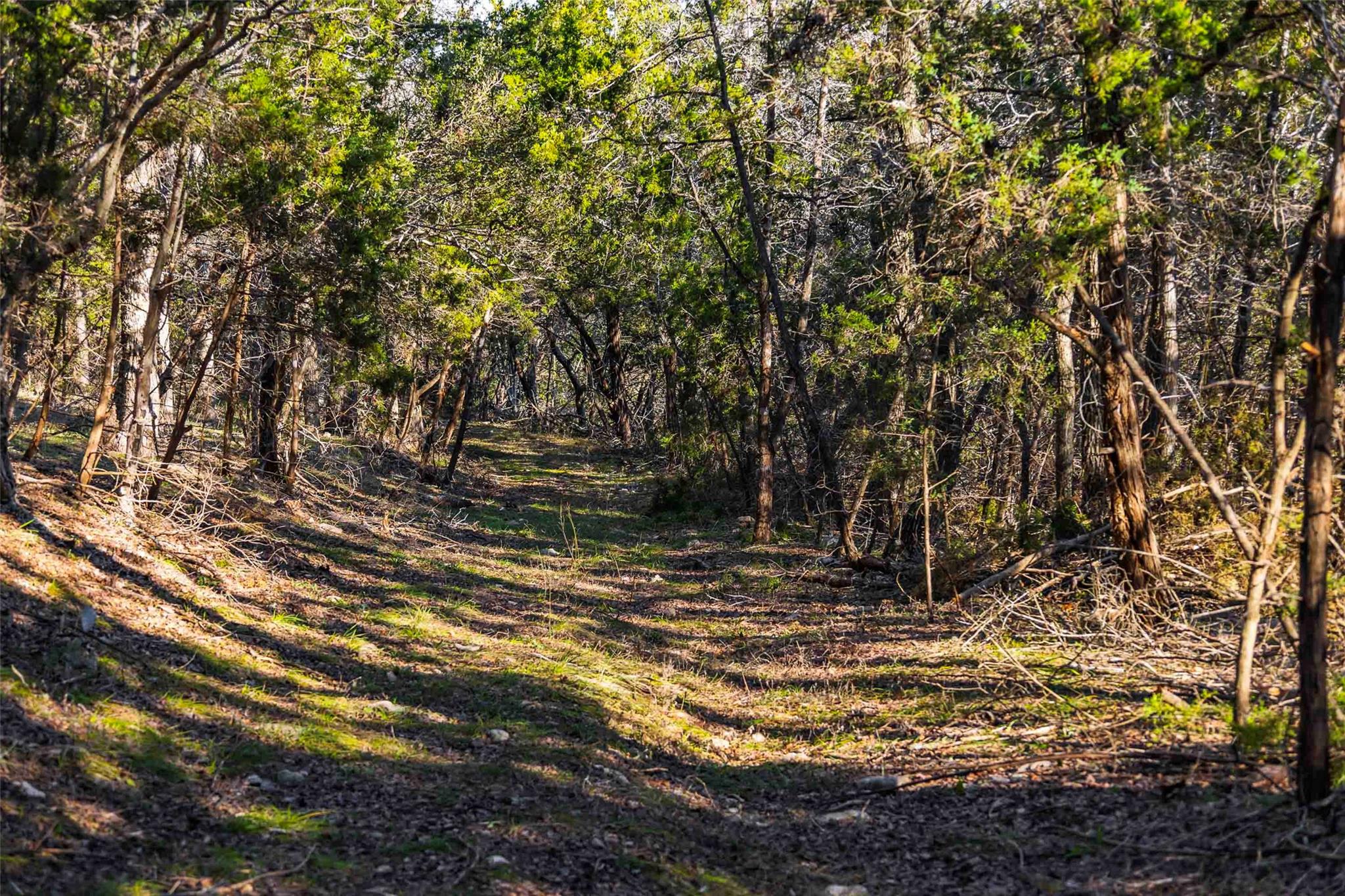 13017 Bob Johnson Ln C Property Photo 10