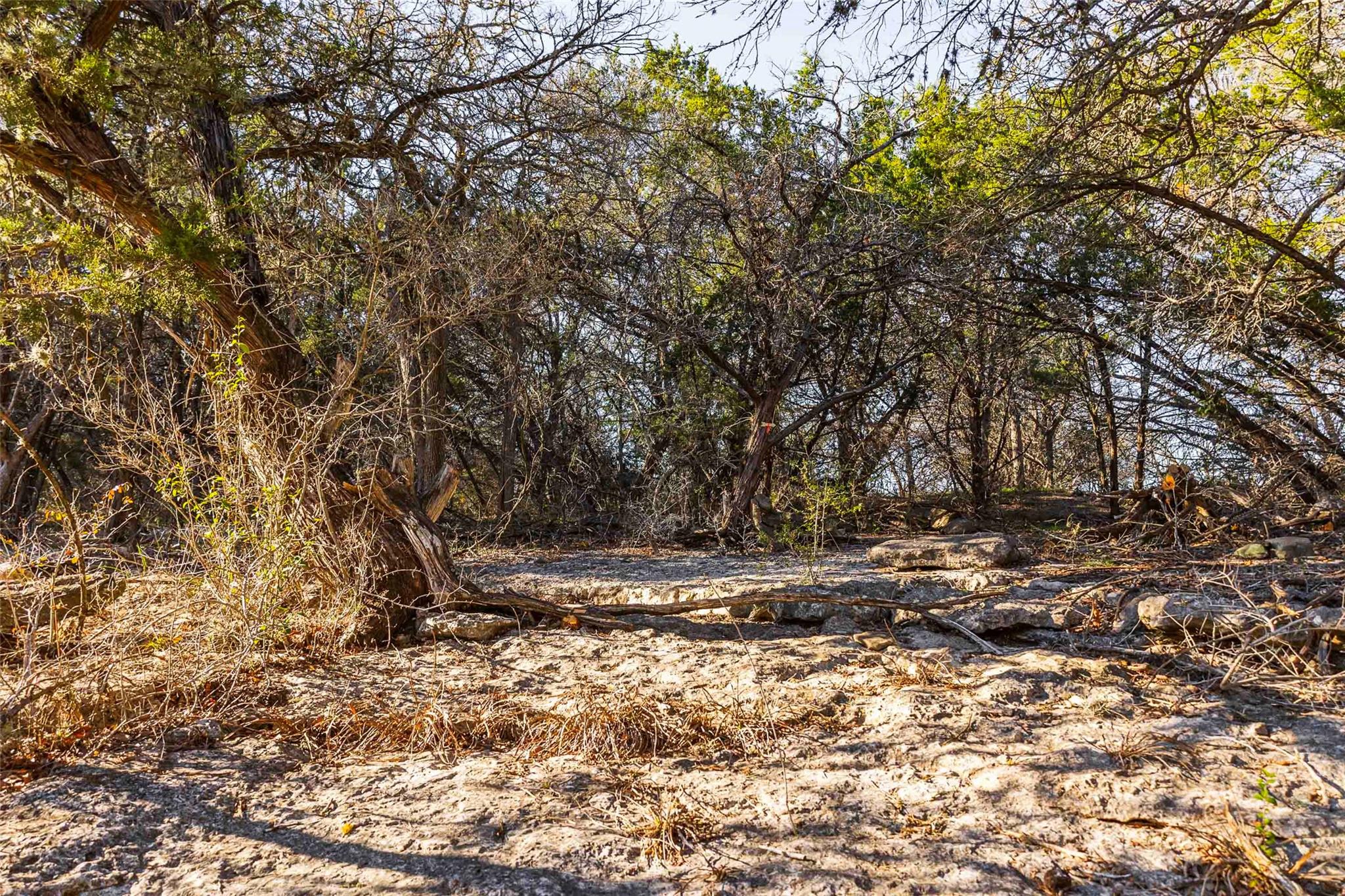 13017 Bob Johnson Ln C Property Photo 12