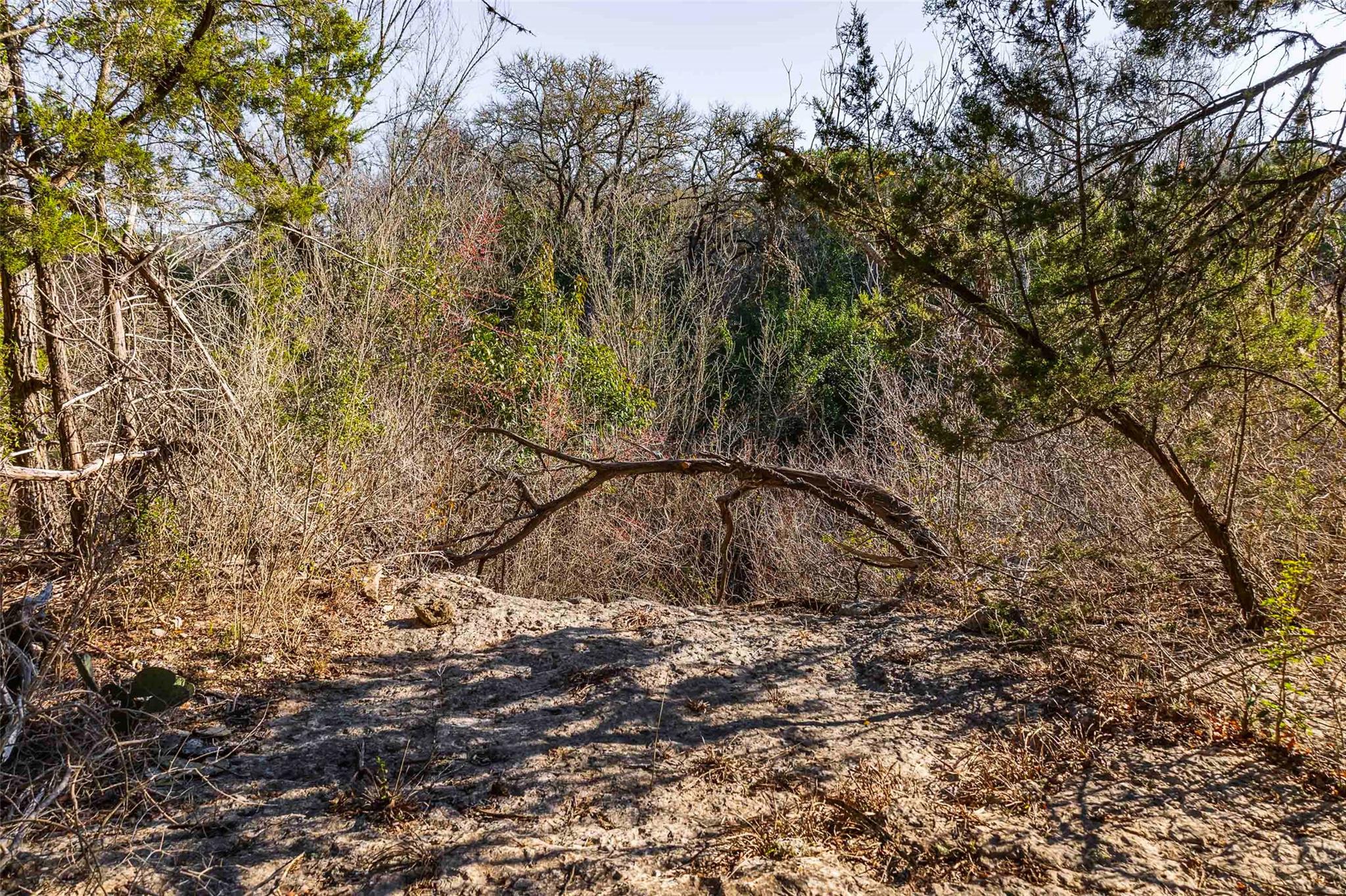 13017 Bob Johnson Ln C Property Photo 13