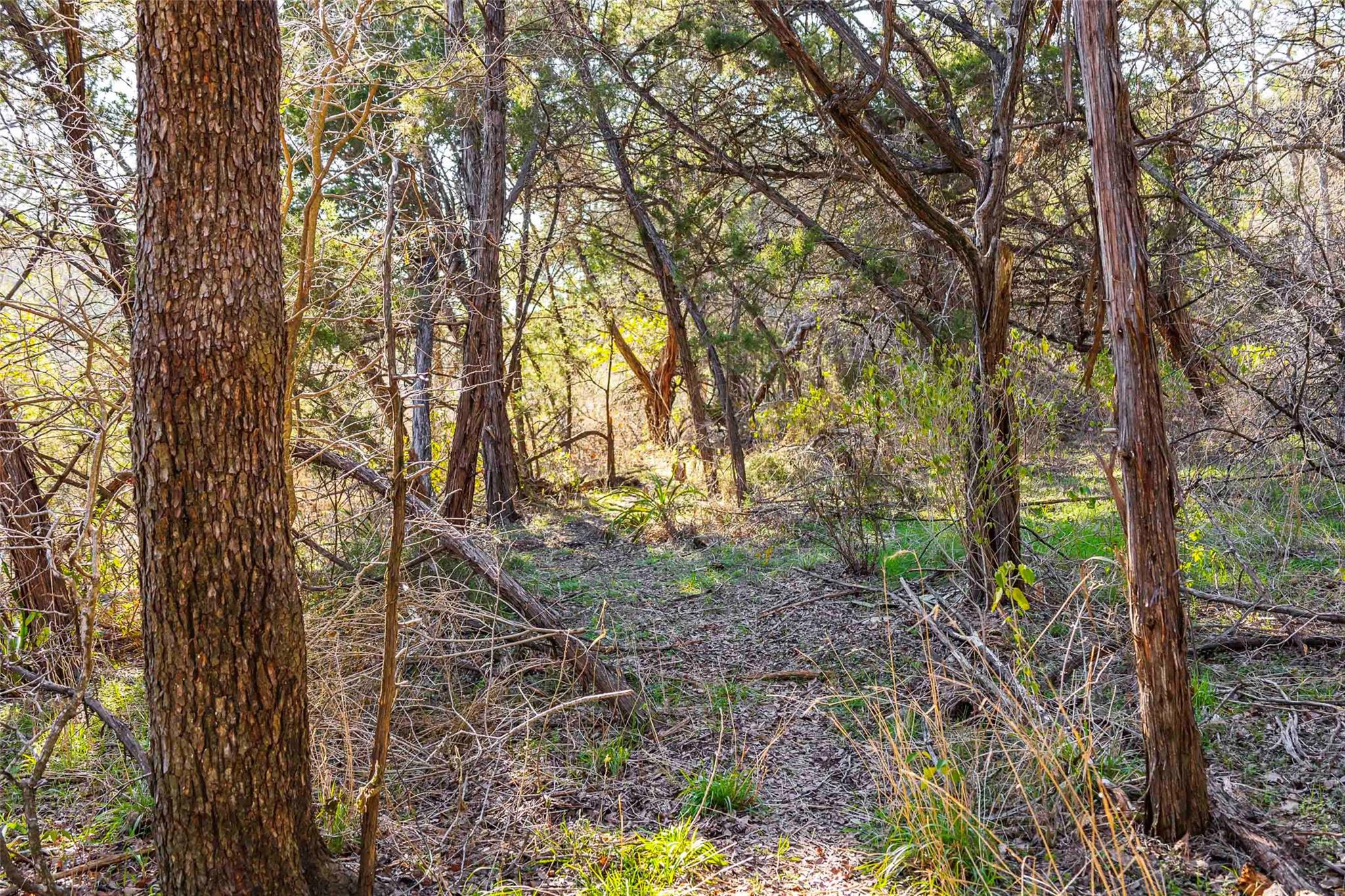 13017 Bob Johnson Ln C Property Photo 14