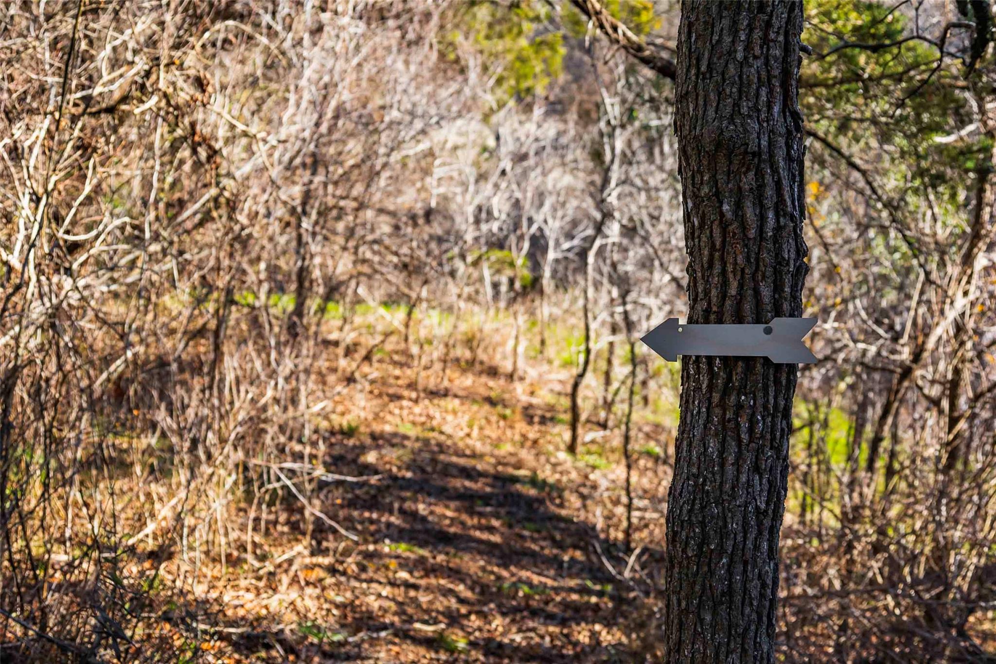 13017 Bob Johnson Ln C Property Photo 15