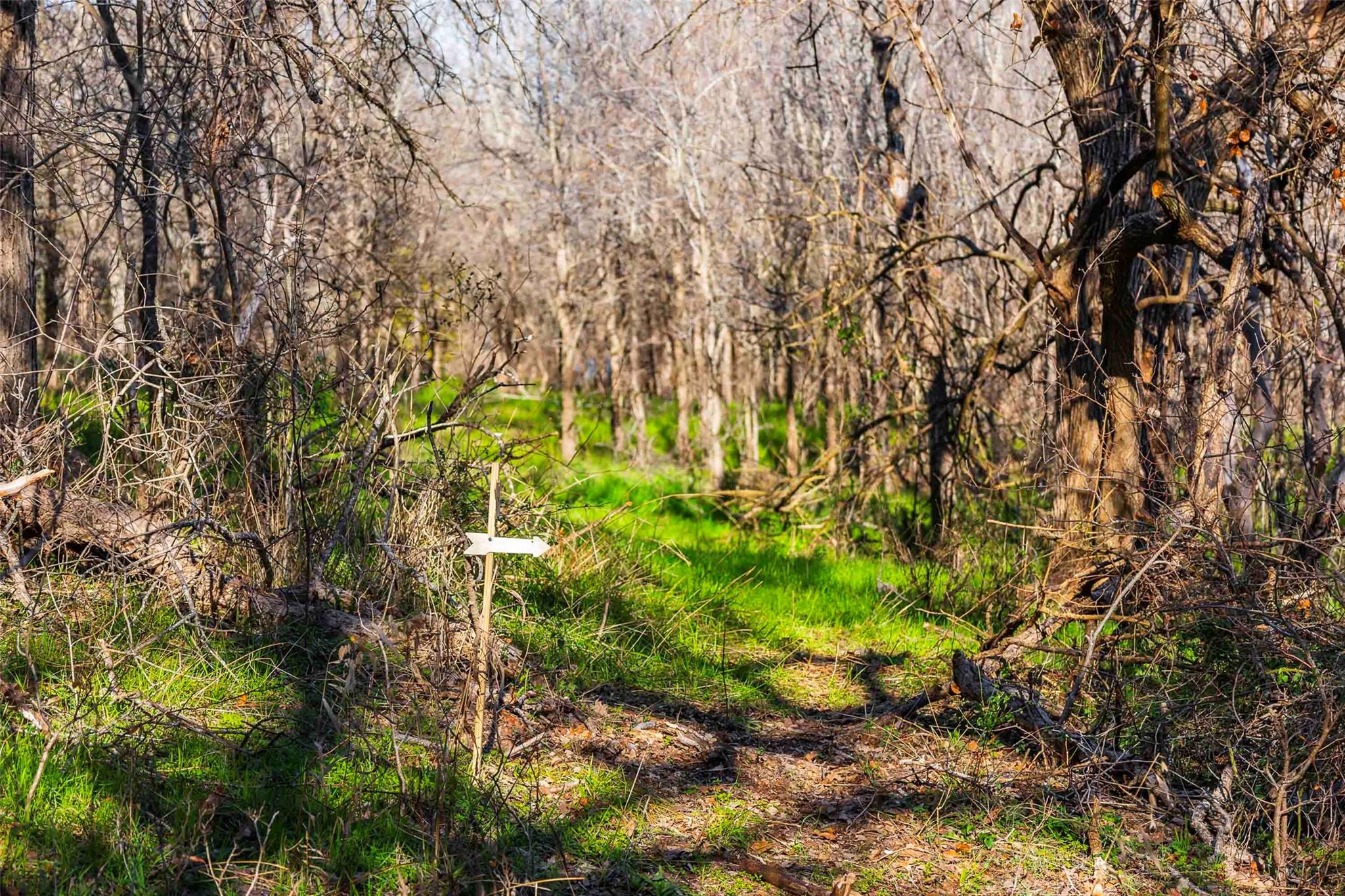13017 Bob Johnson Ln C Property Photo 16