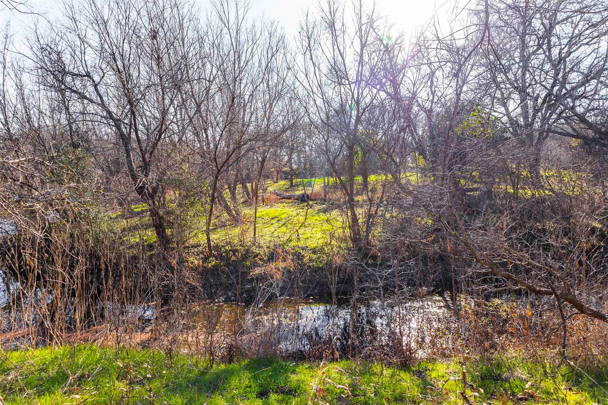 13017 Bob Johnson Ln C Property Photo 17