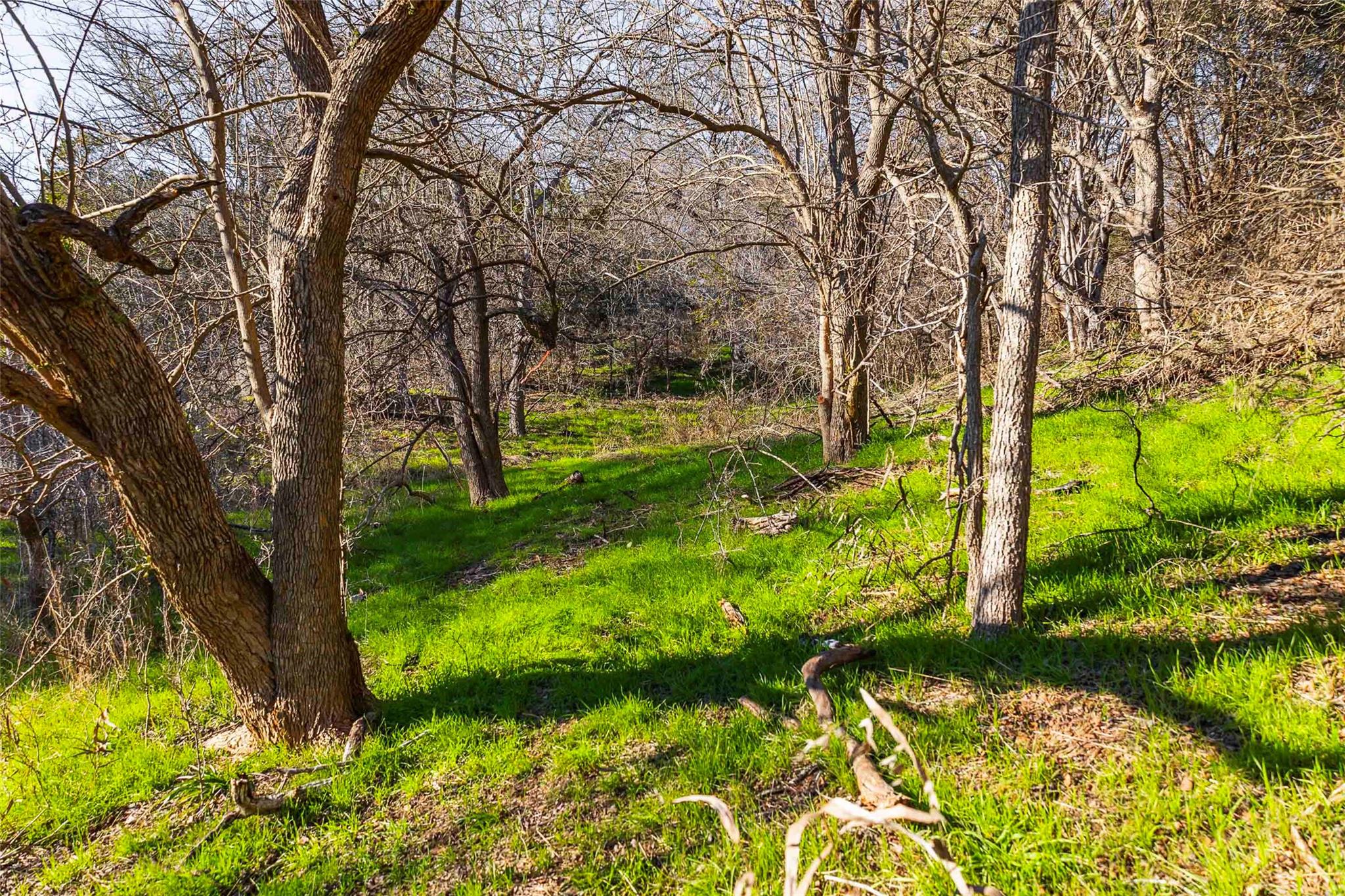 13017 Bob Johnson Ln C Property Photo 18