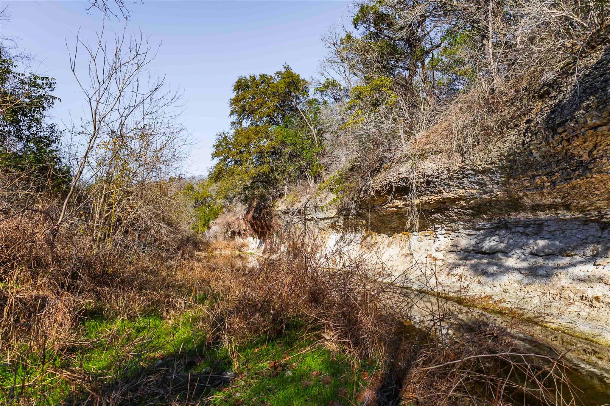 13017 Bob Johnson Ln C Property Photo 21