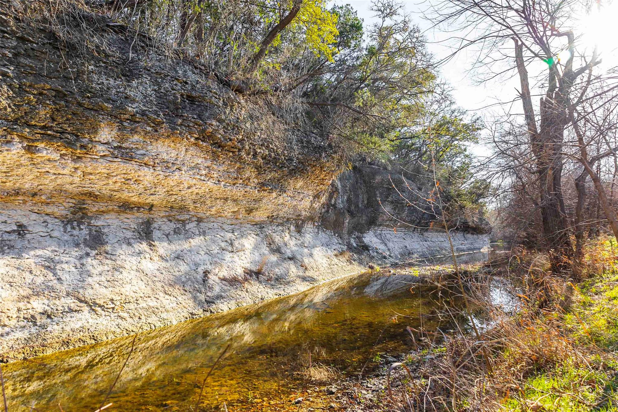 13017 Bob Johnson Ln C Property Photo 22