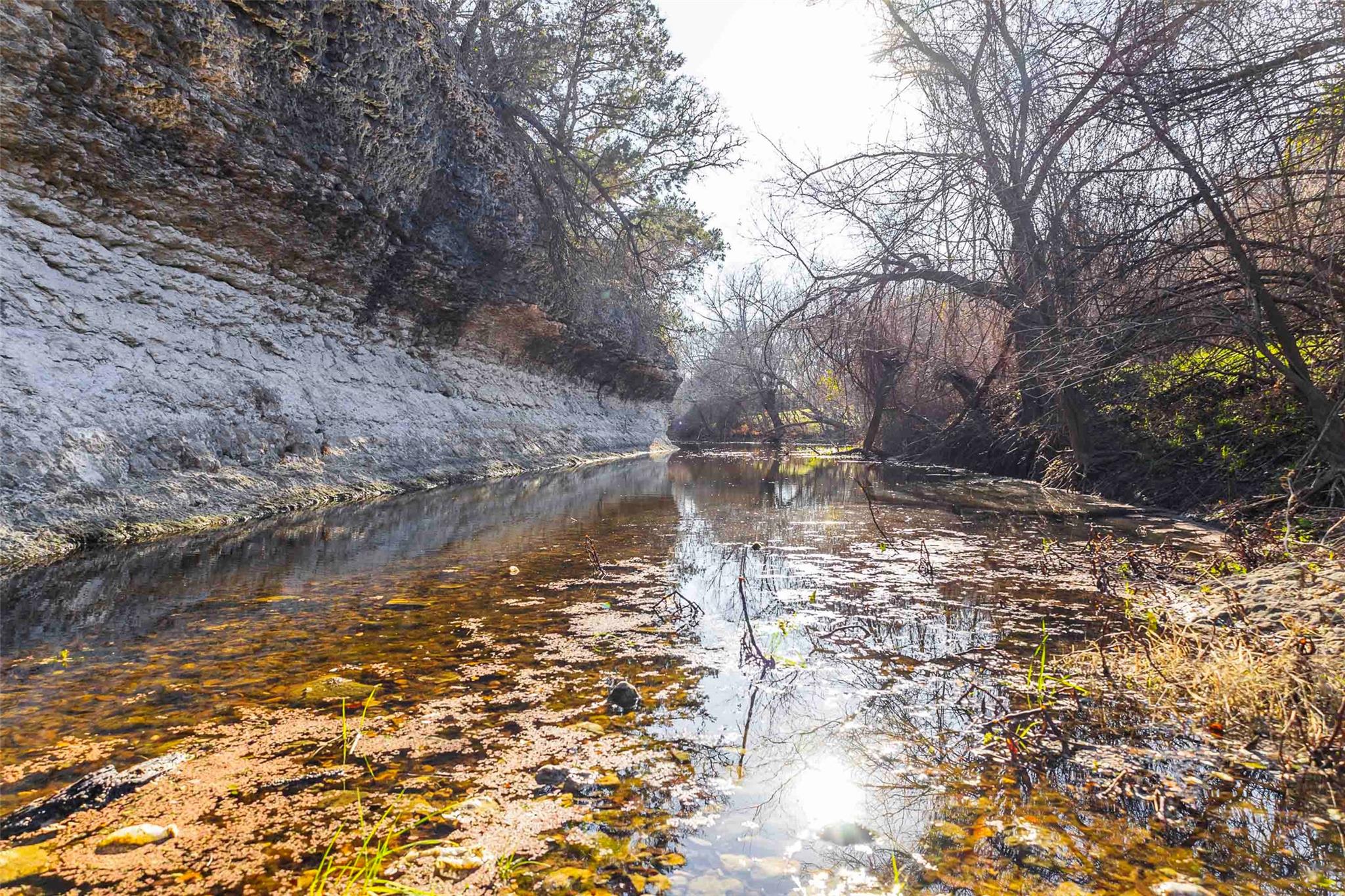 13017 Bob Johnson Ln C Property Photo 25