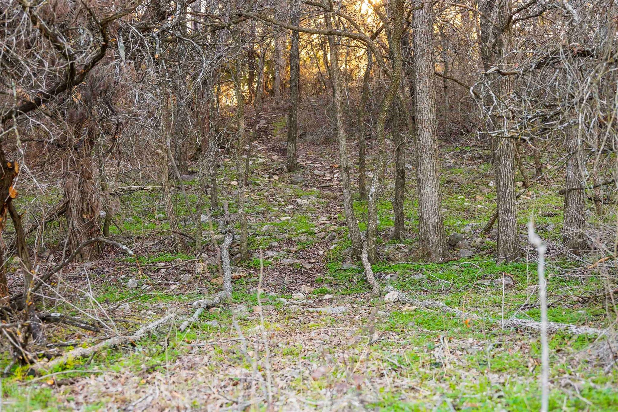 13017 Bob Johnson Ln C Property Photo 28
