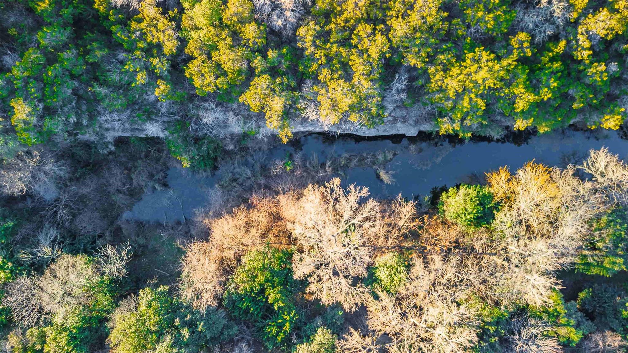 13017 Bob Johnson Ln C Property Photo 35