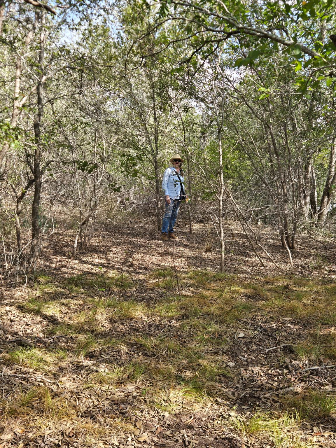 8710737 Property Photo 13