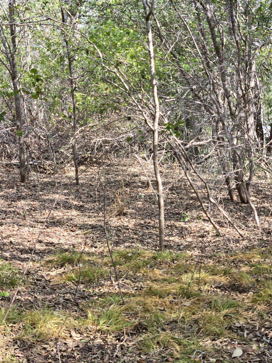 8710737 Property Photo 14