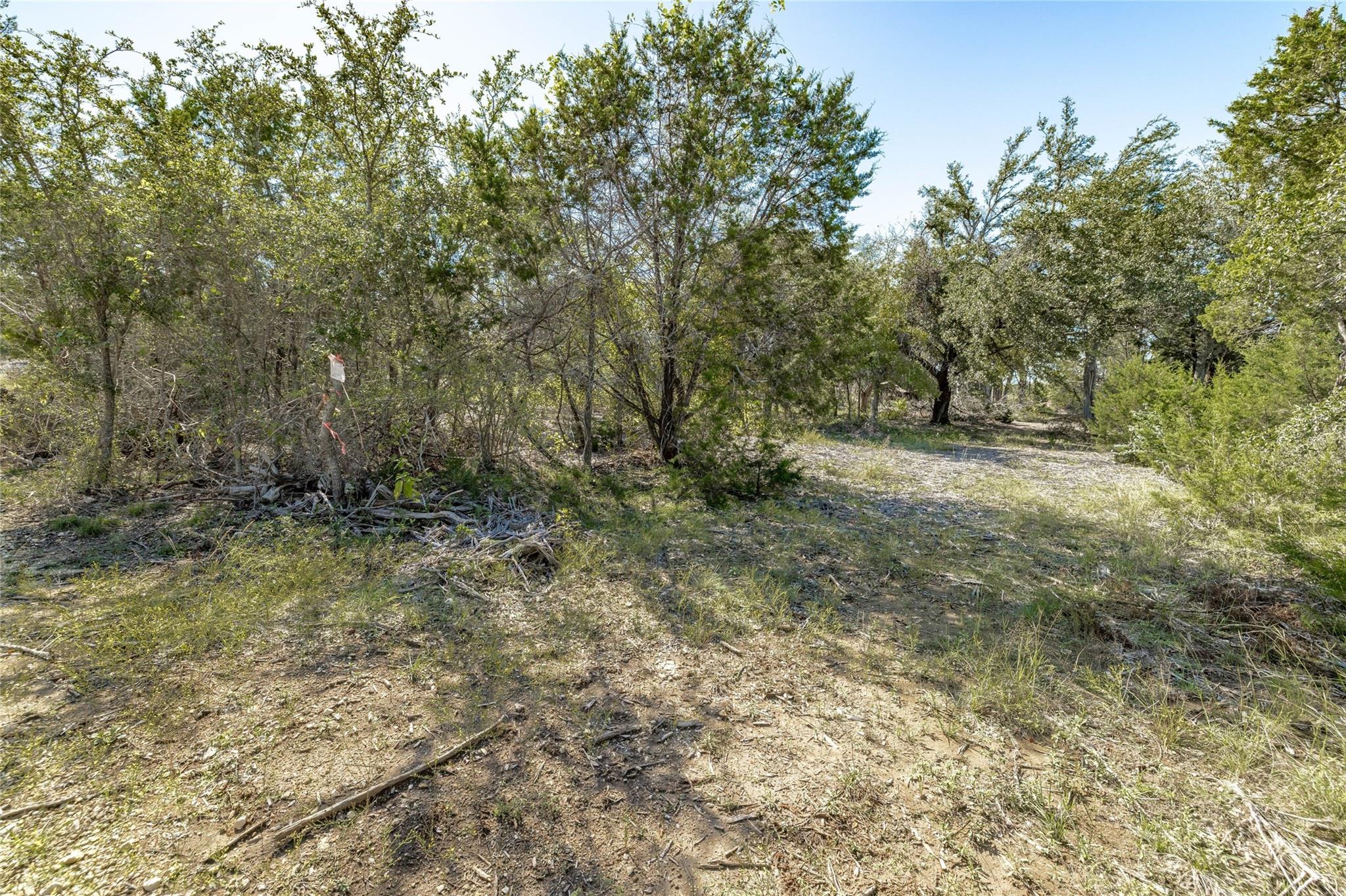 Tbd County Road 281 None Property Photo 6