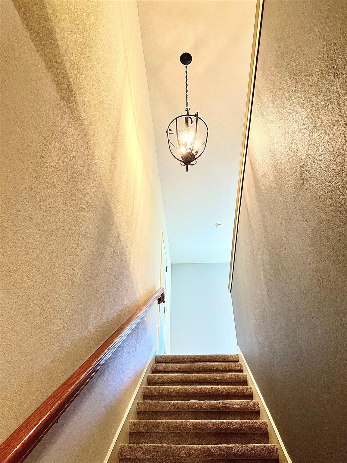 2201 Golden Gate Park Property Photo 27