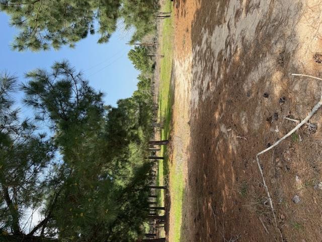 186 Hook Em Horns Dr Property Photo 7