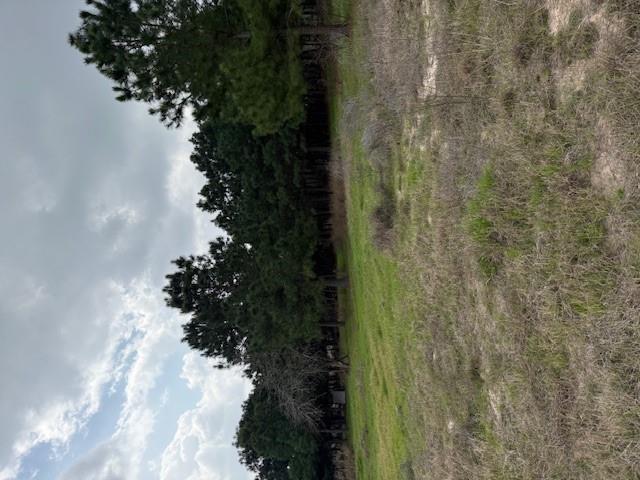 186 Hook Em Horns Dr Property Photo 22