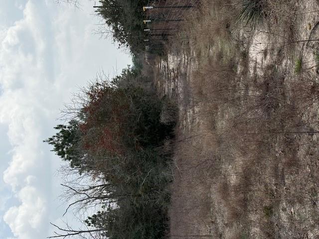 186 Hook Em Horns Dr Property Photo 25