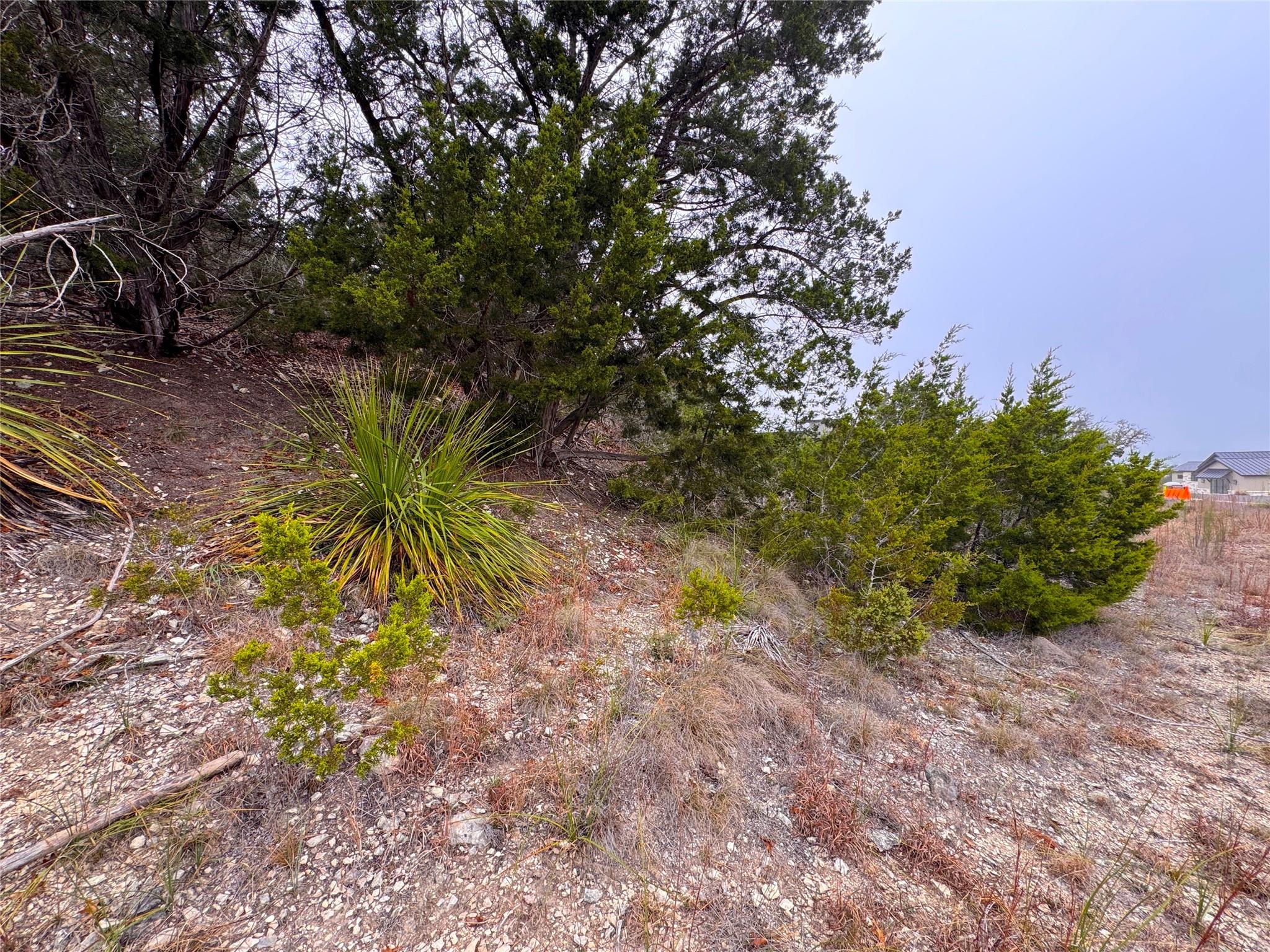 615 Caballo Trl Property Photo 20