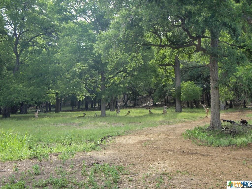 615 Caballo Trl Property Photo 31