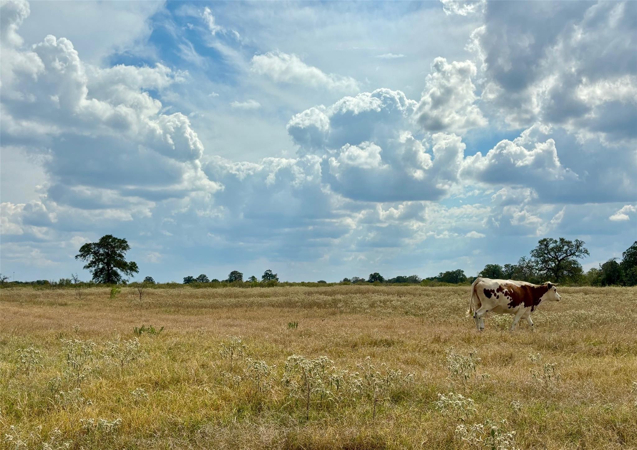 3 Big Sky Ranch Rd Property Photo 1