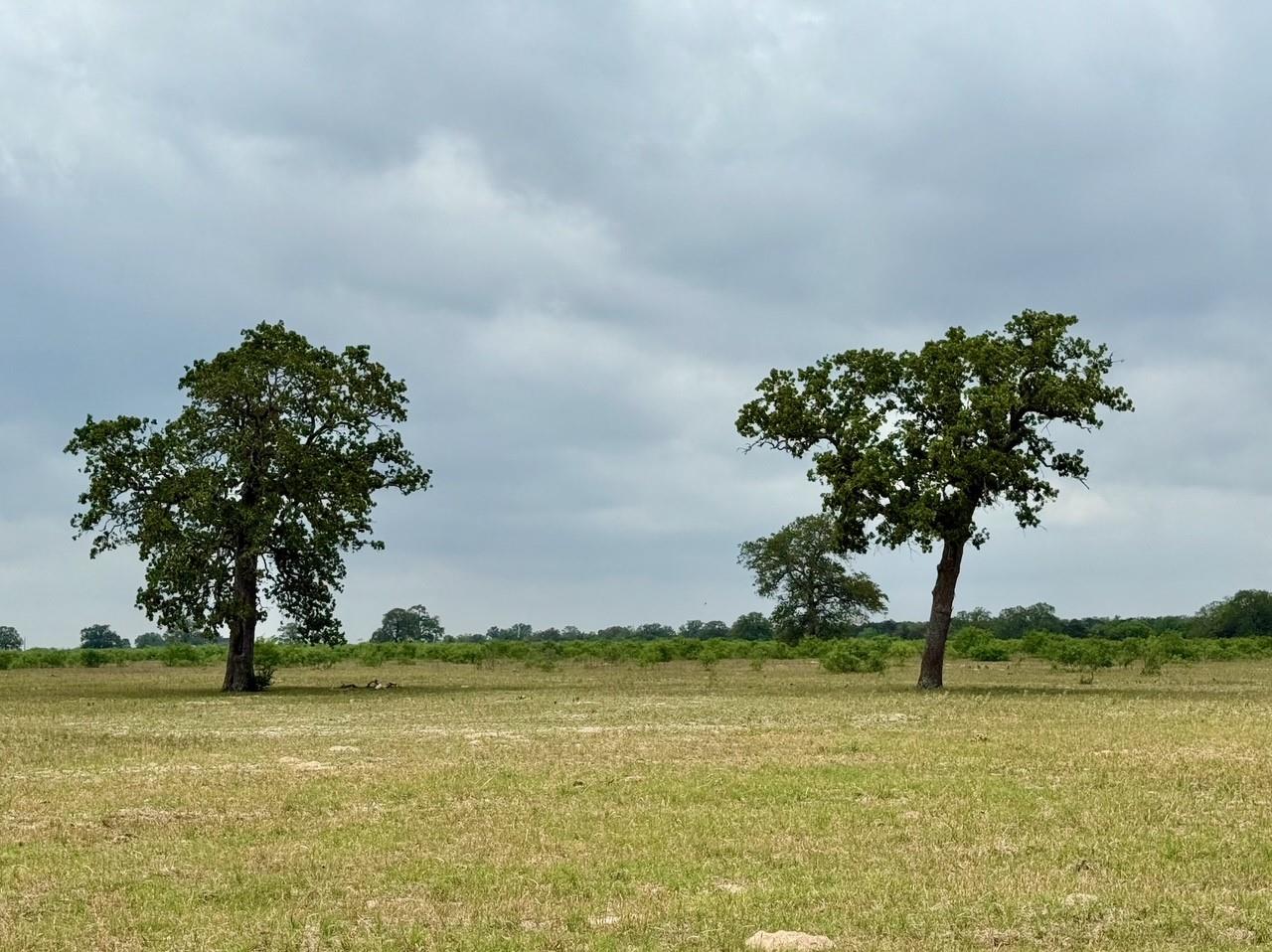 3 Big Sky Ranch Rd Property Photo 2