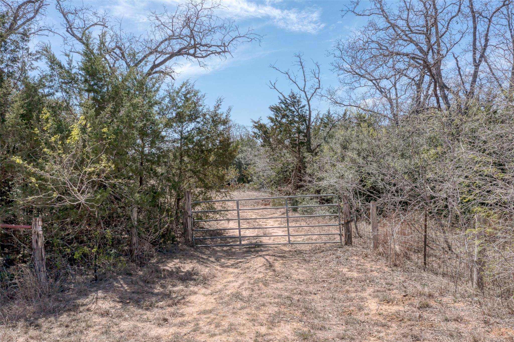Tbd Cr 4and 459 Property Photo 4