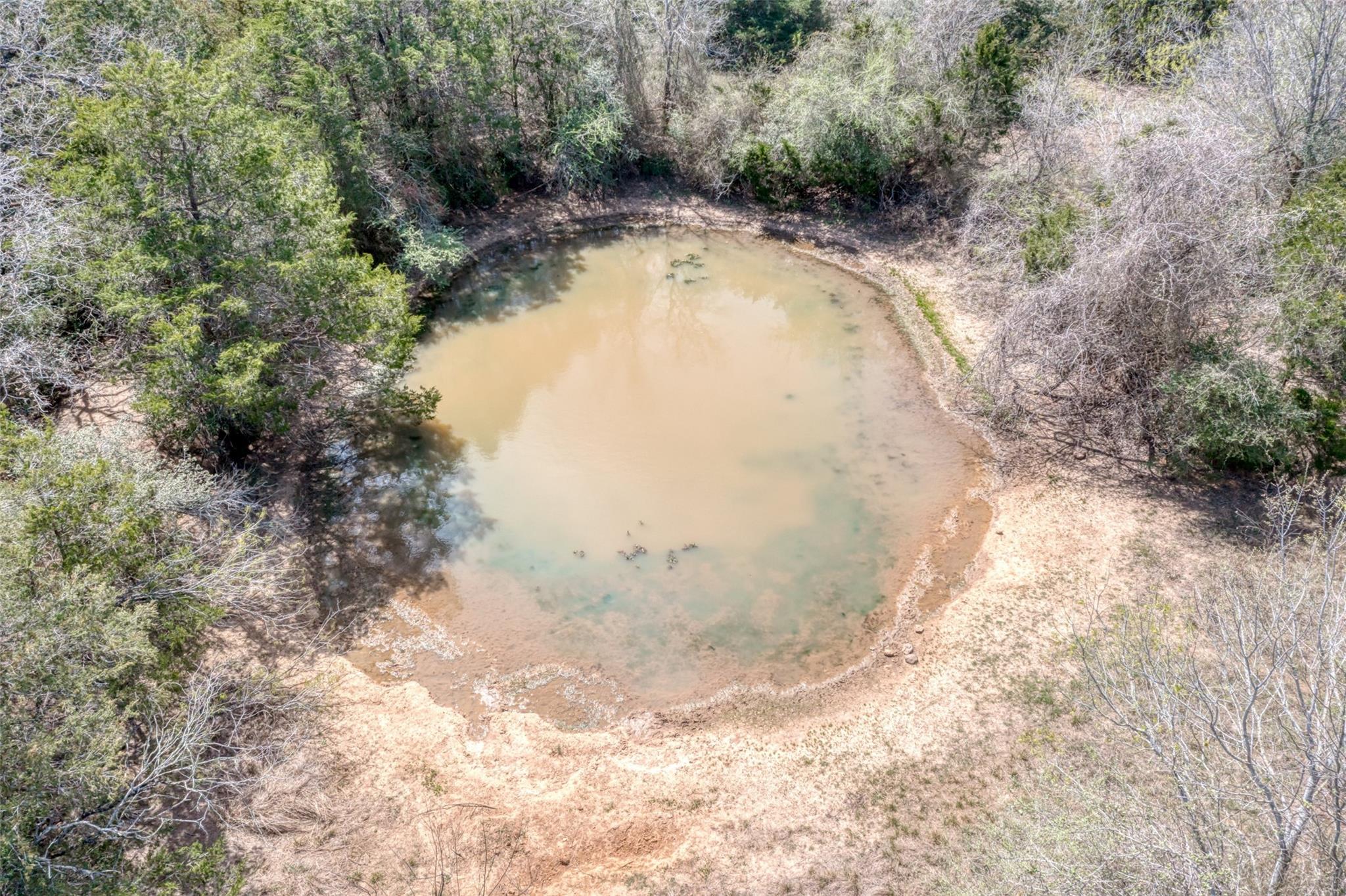 Tbd Cr 4and 459 Property Photo 6