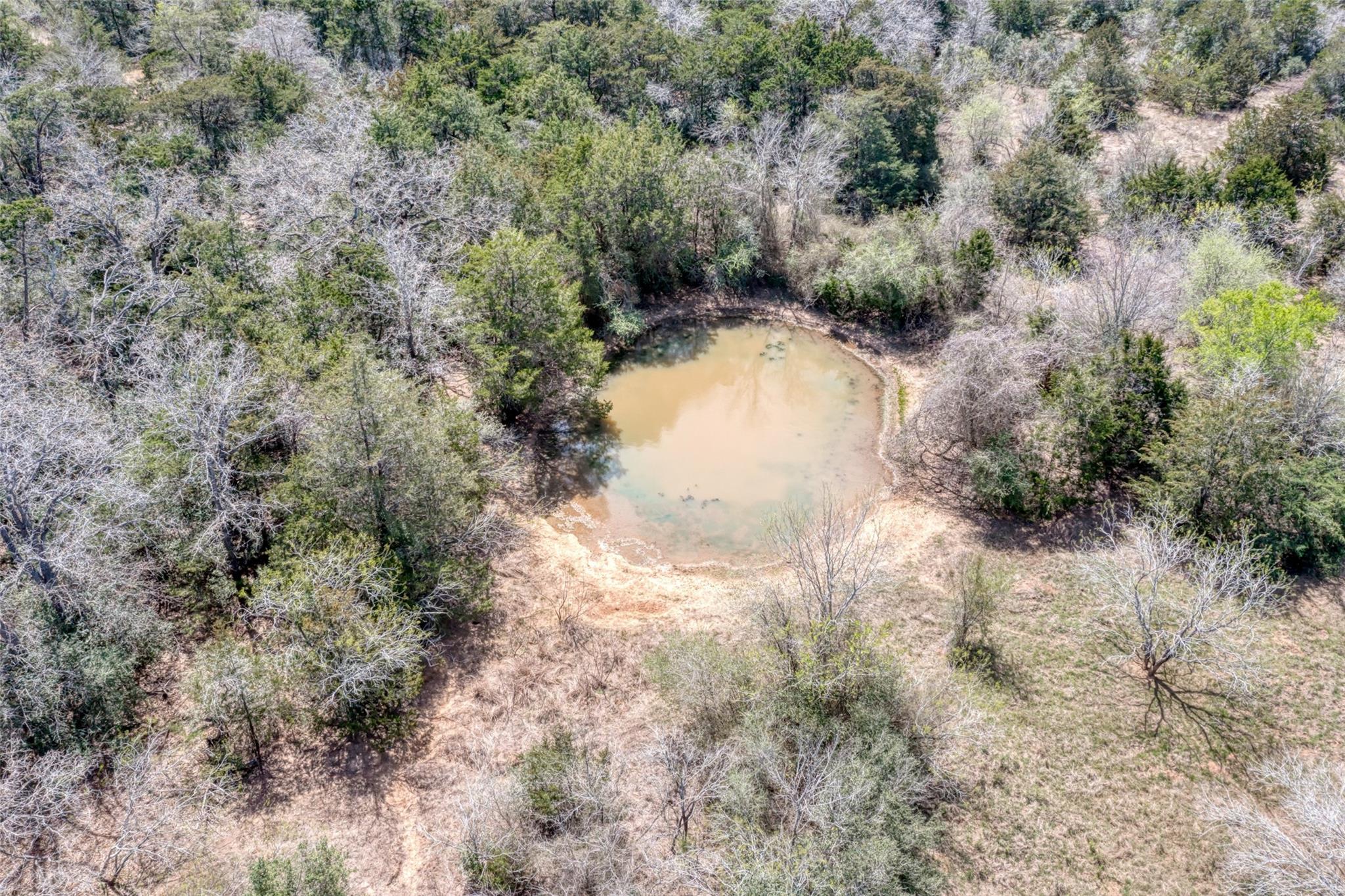 Tbd Cr 4and 459 Property Photo 7
