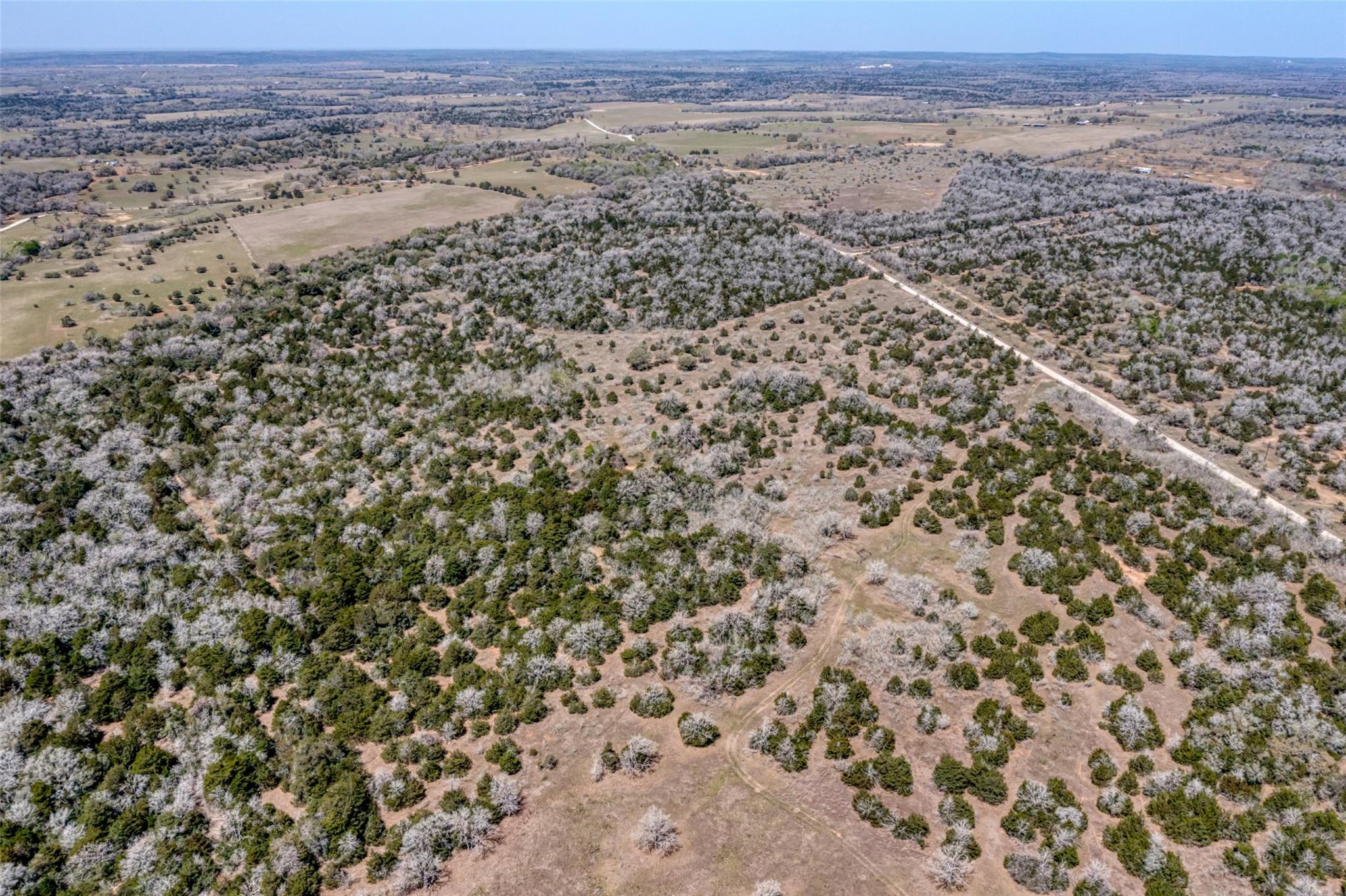 Tbd Cr 4and 459 Property Photo 8