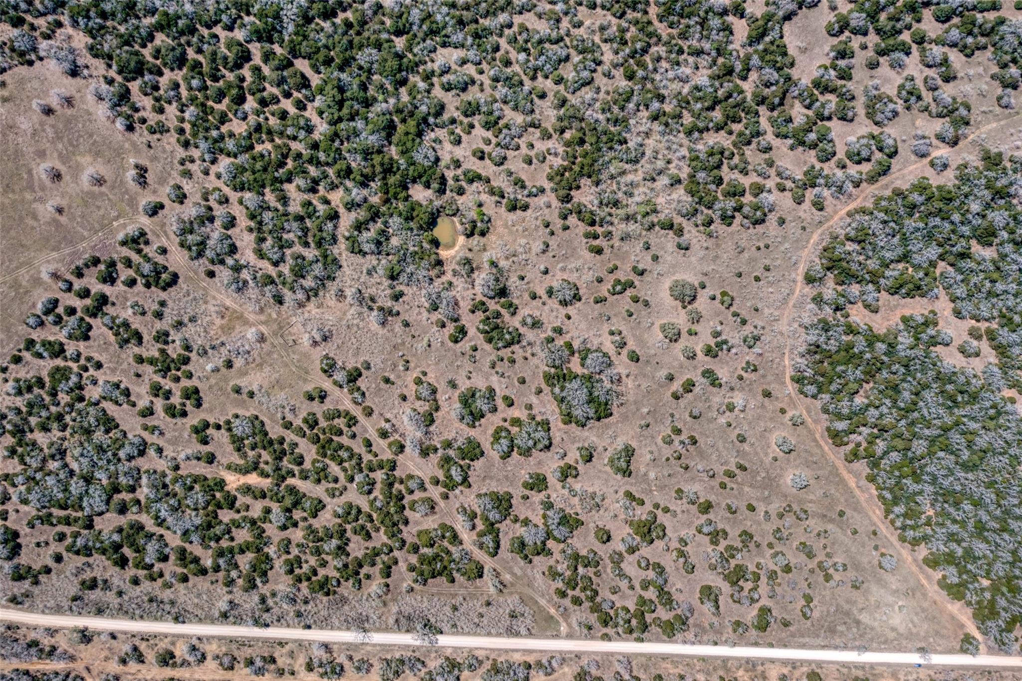 Tbd Cr 4and 459 Property Photo 13