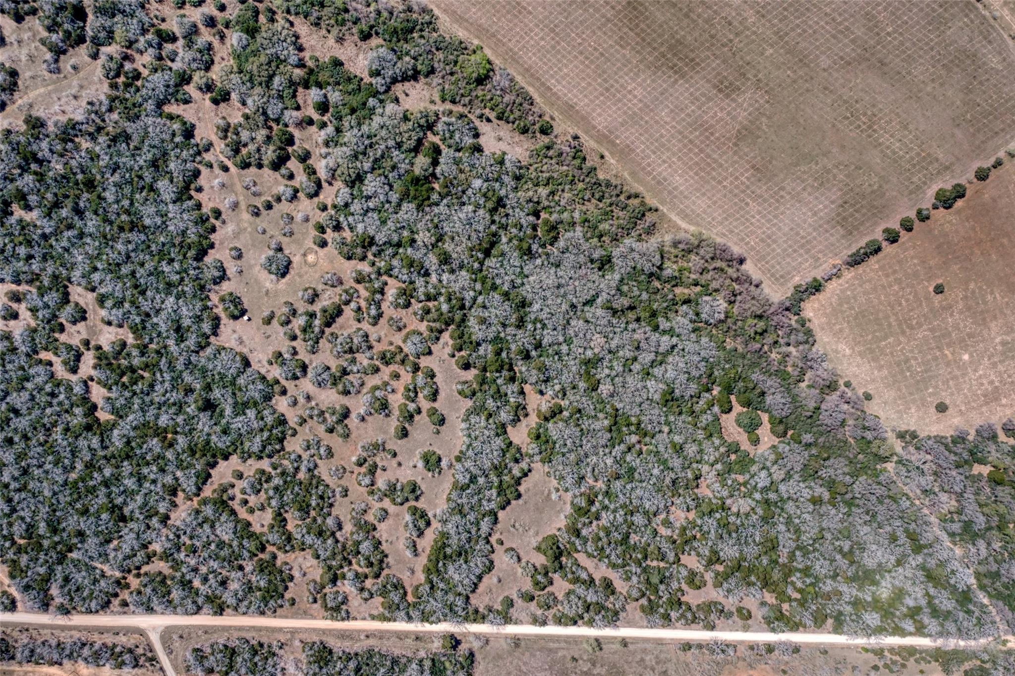 Tbd Cr 4and 459 Property Photo 14