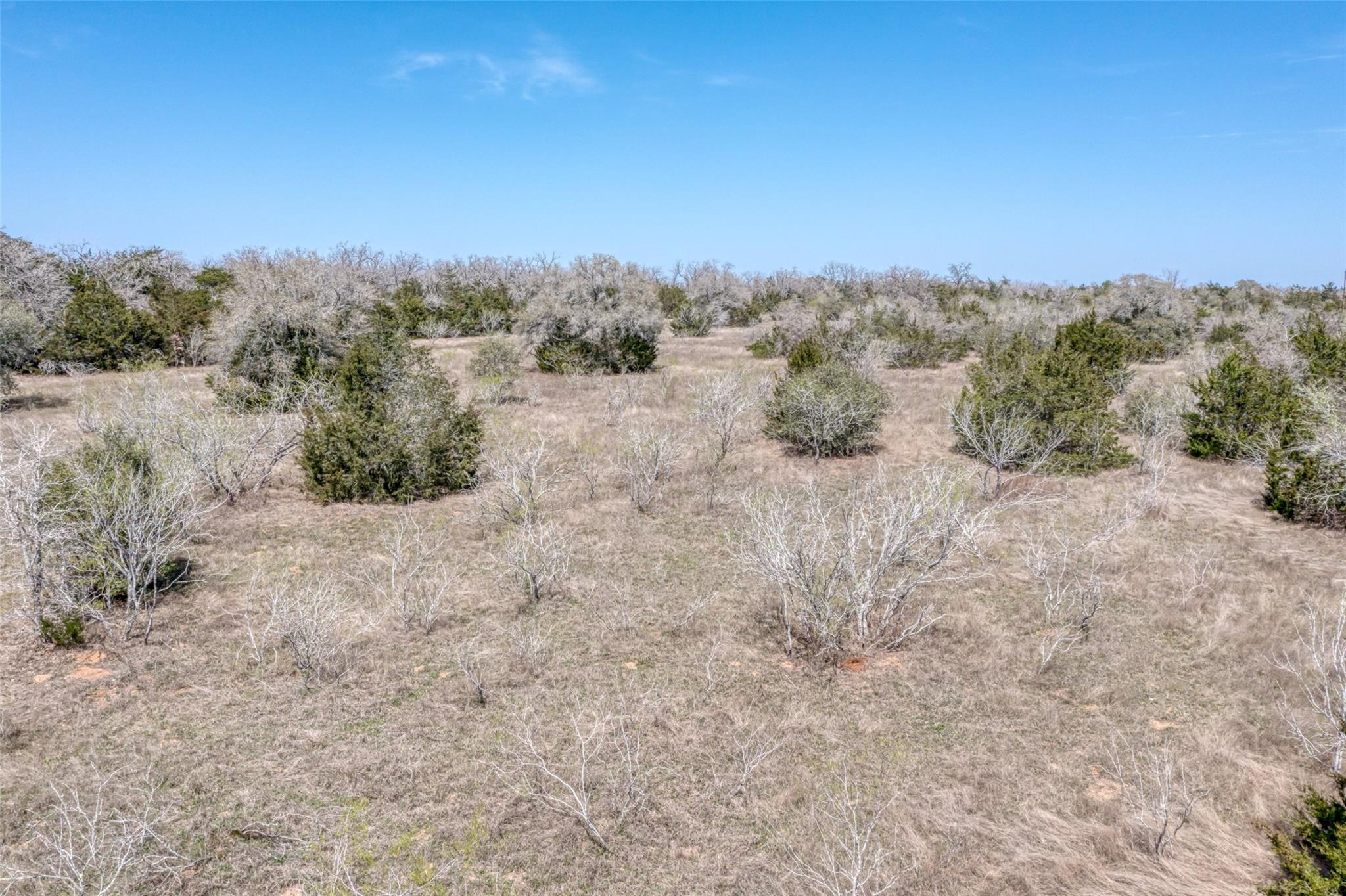 Tbd Cr 4and 459 Property Photo 25