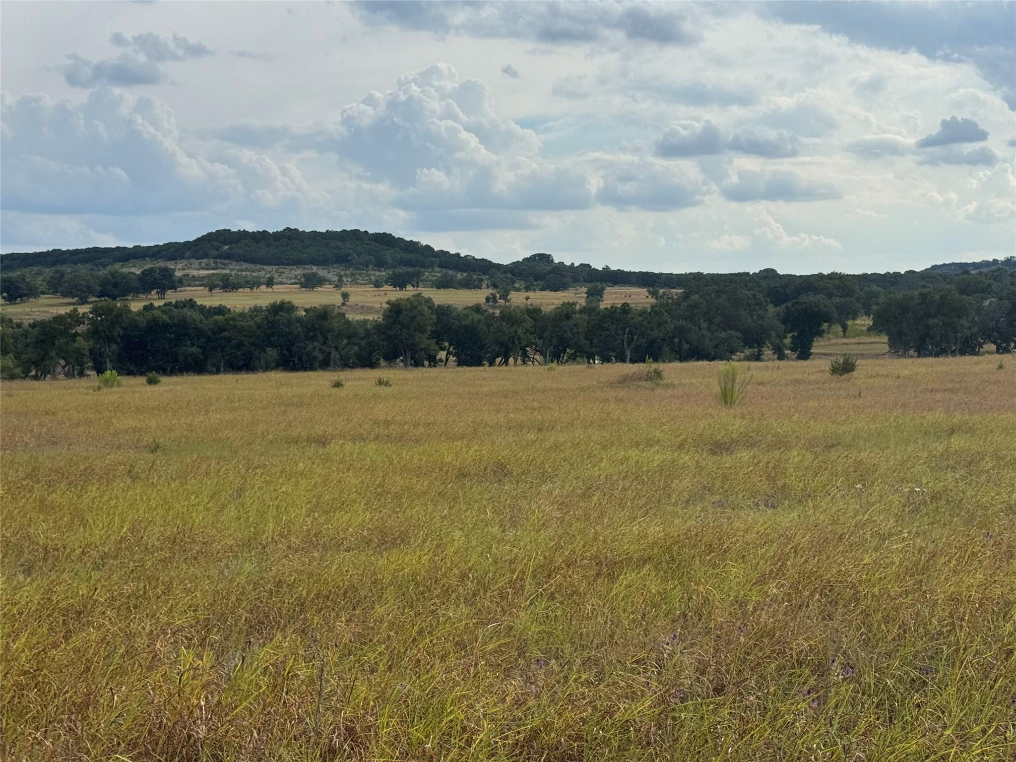 Tbd Lot 4 County Road 1320 None Property Photo 2