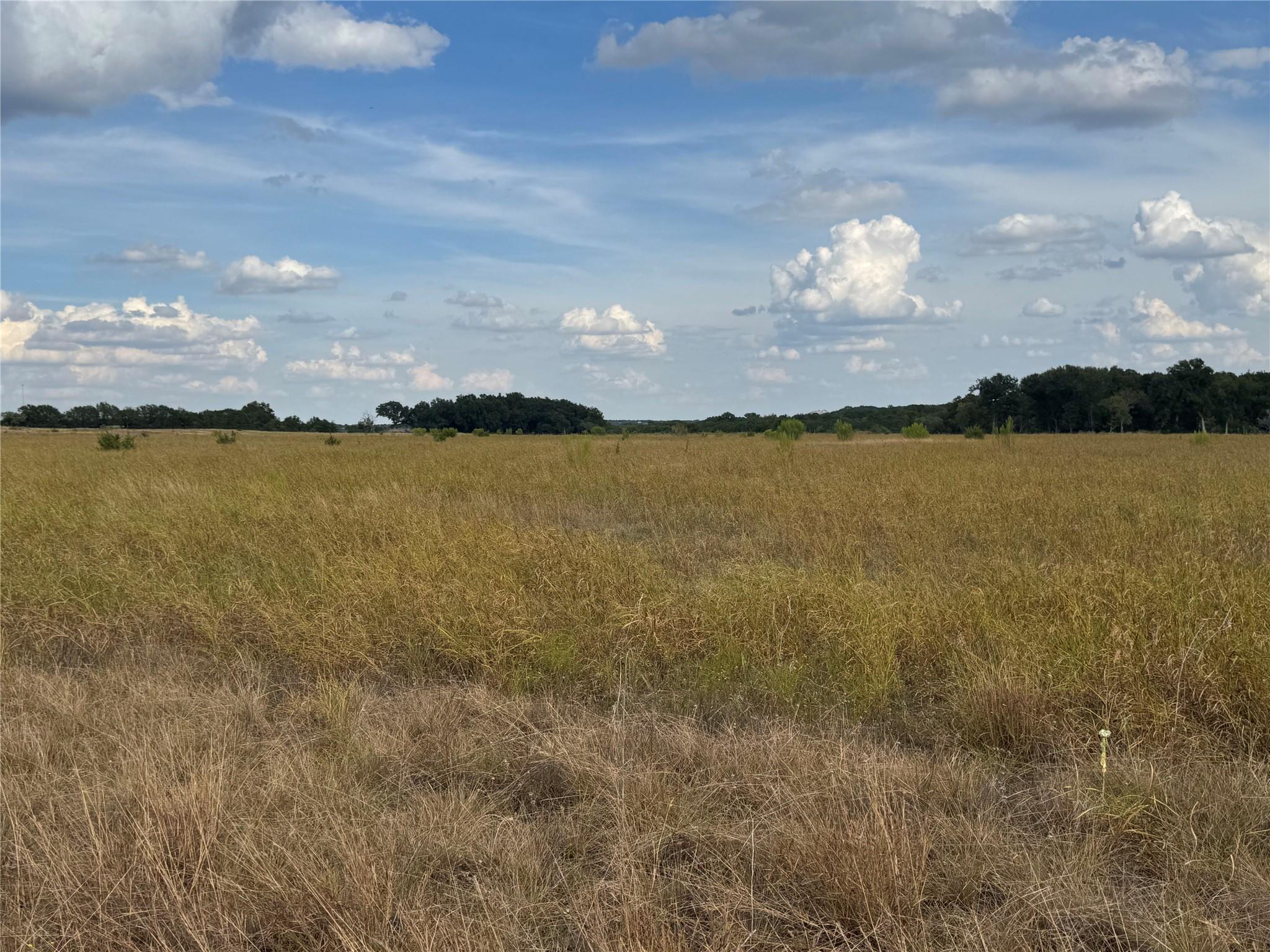 Tbd Lot 4 County Road 1320 None Property Photo 4