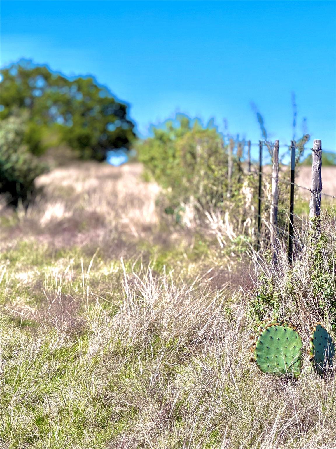 Tbd Tract 19 Buckskin Path Property Photo 4