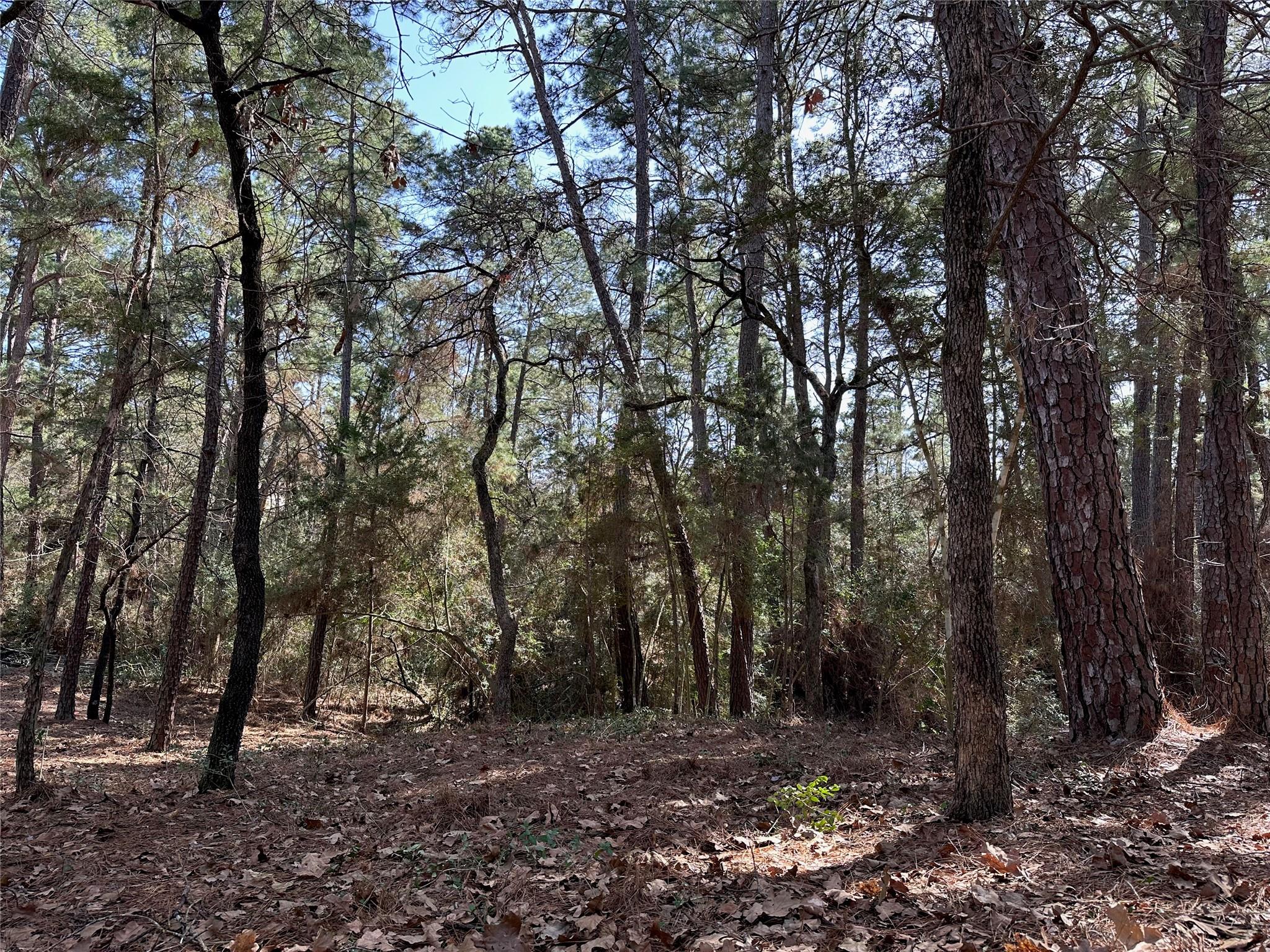 Tbd Kamakoa Ln Property Photo 1