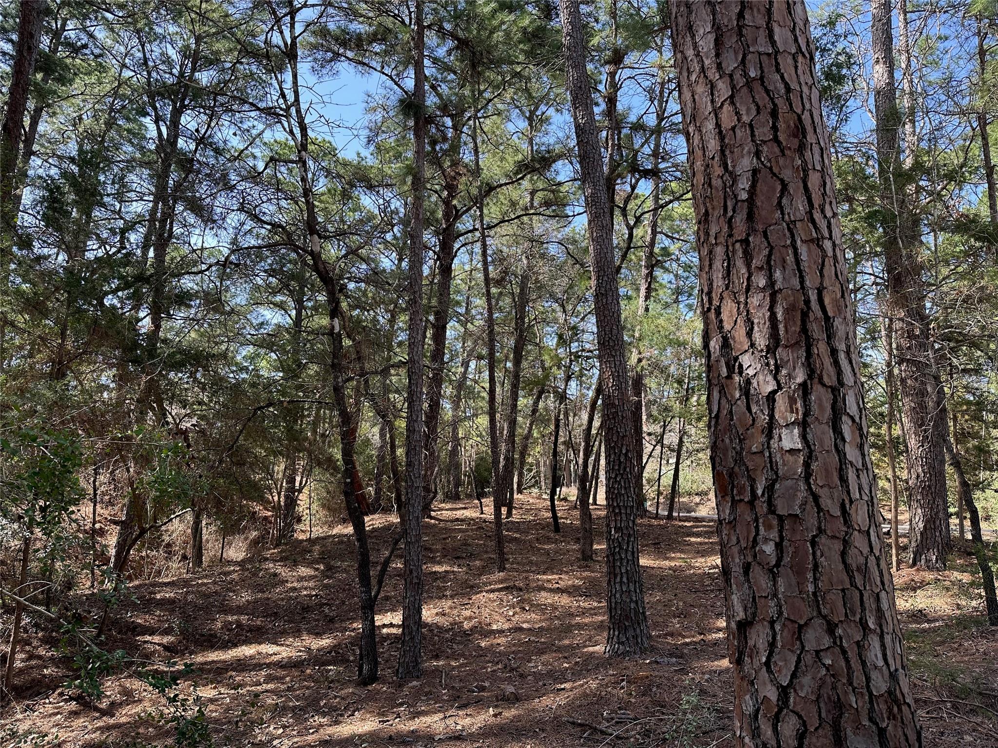 Tbd Kamakoa Ln Property Photo 2
