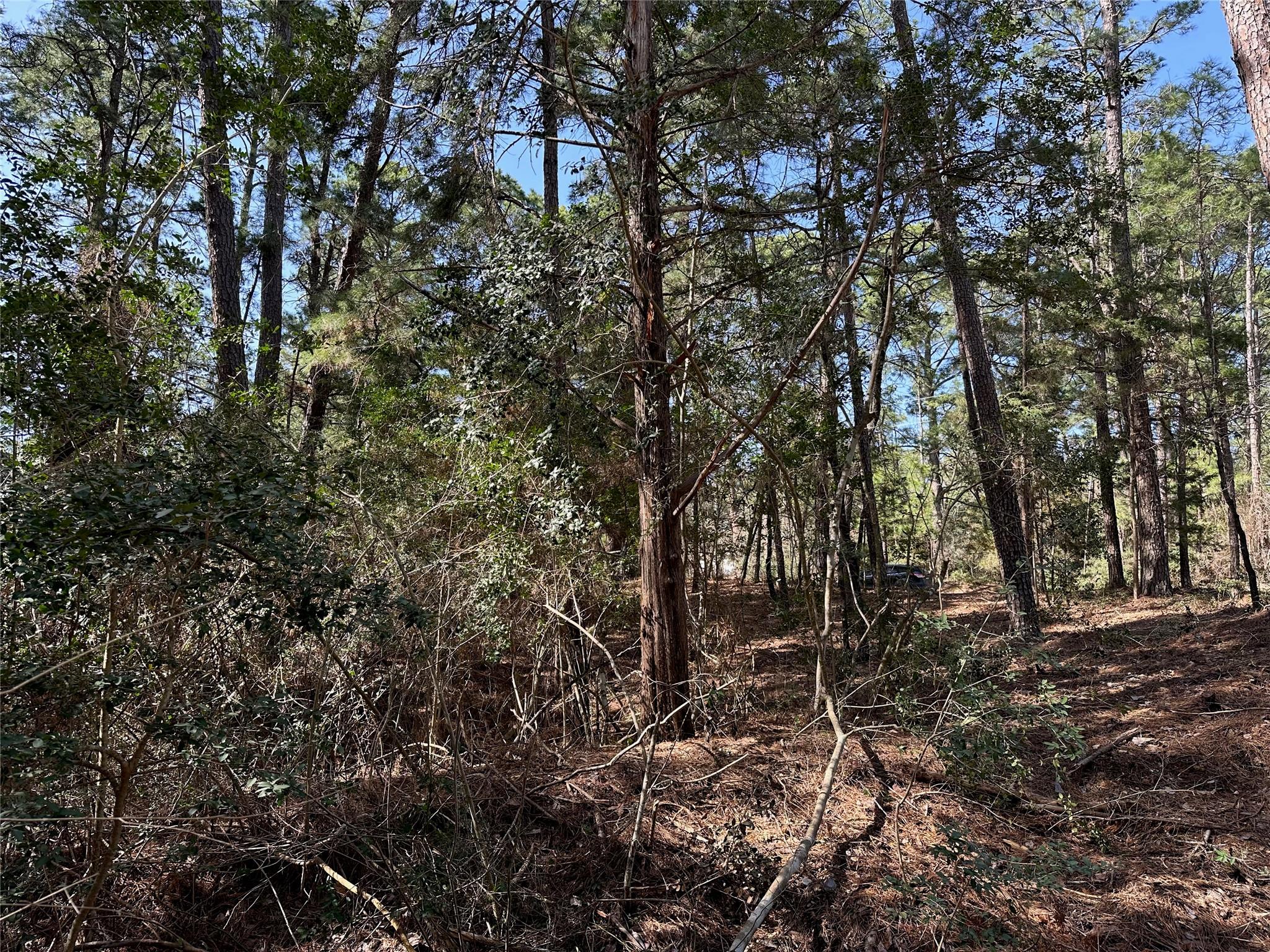 Tbd Kamakoa Ln Property Photo 3