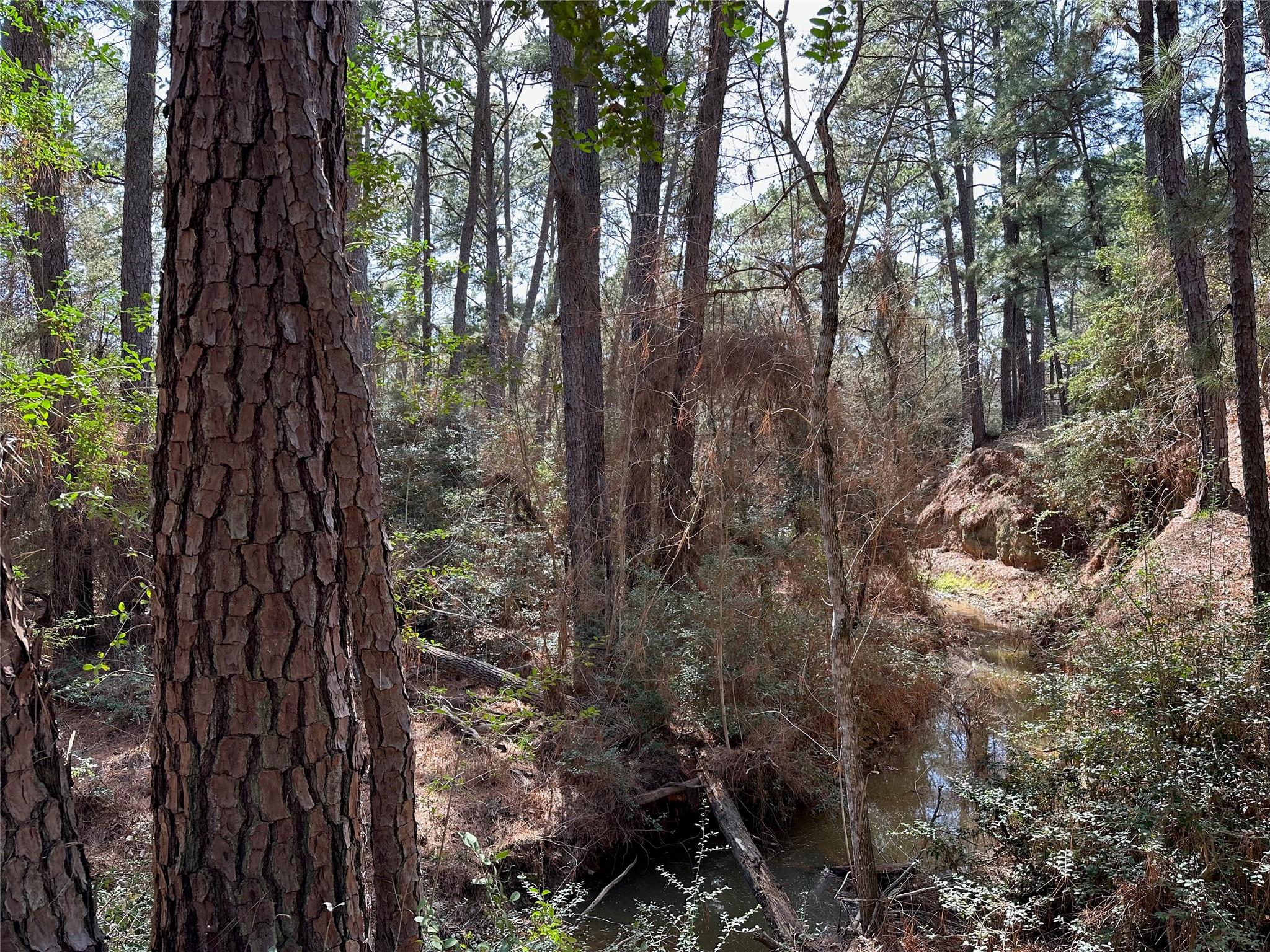 Tbd Kamakoa Ln Property Photo 6