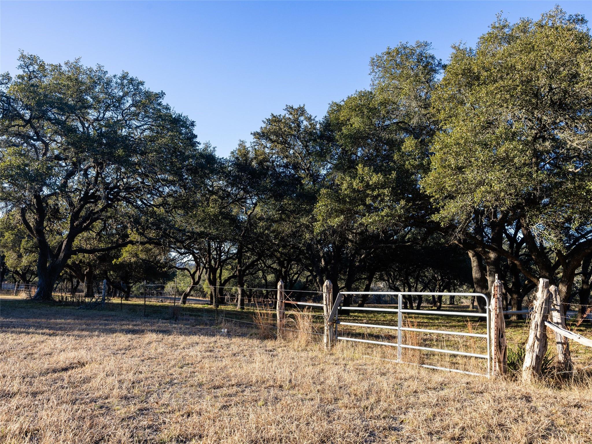 6.56 Acres 1623 Rd Property Photo 2