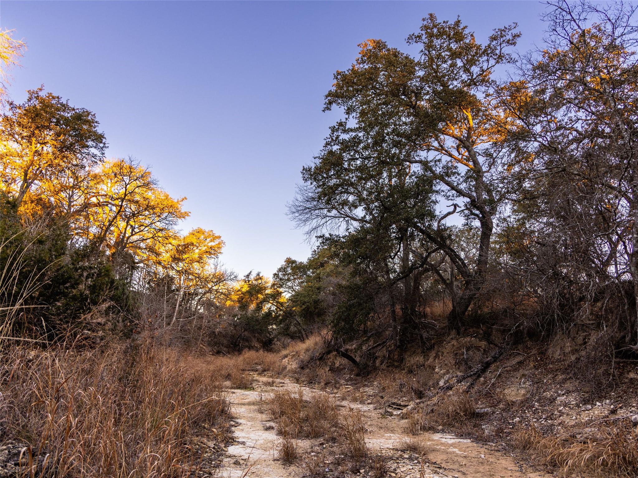 6.56 Acres 1623 Rd Property Photo 14