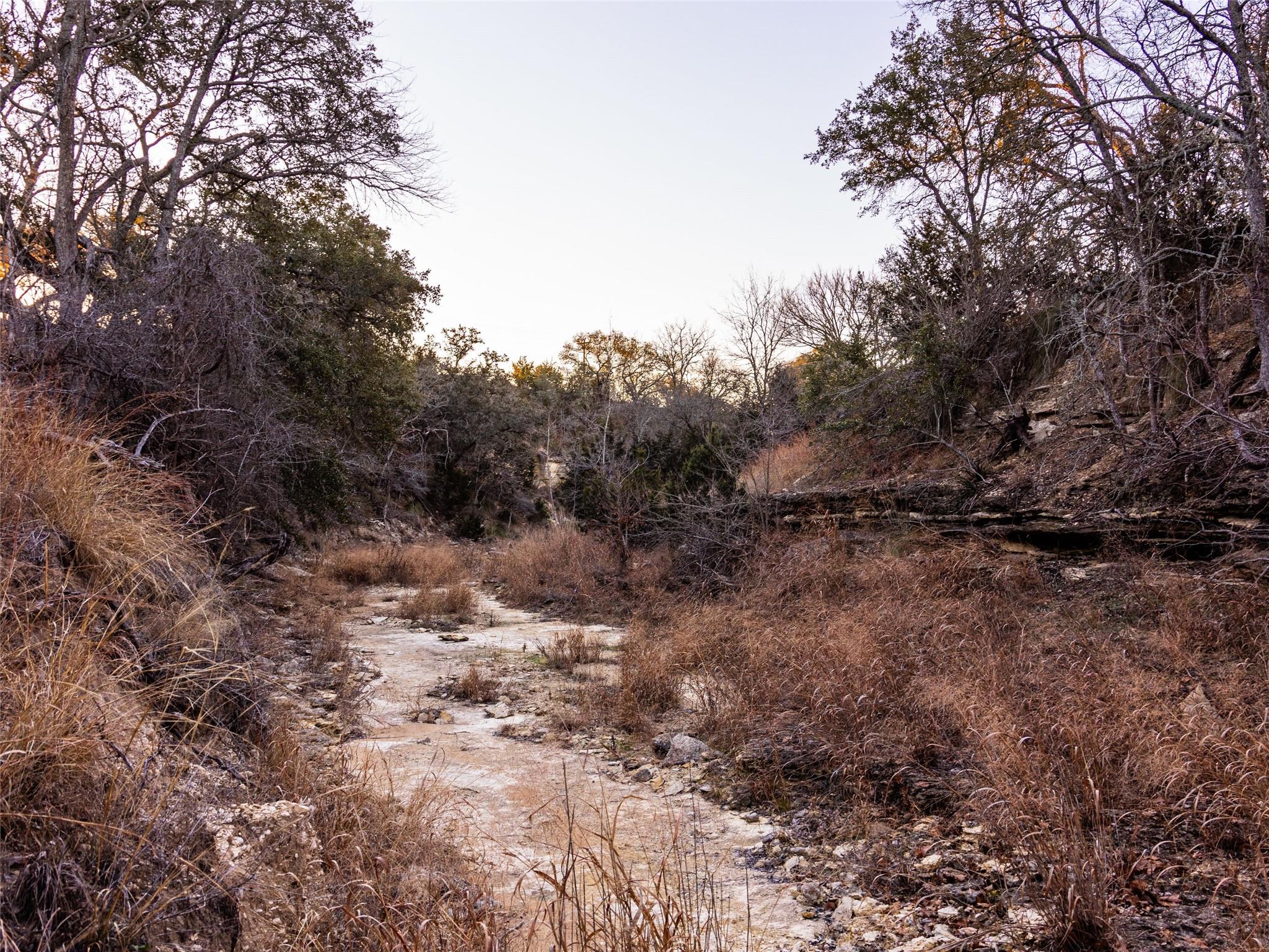 6.56 Acres 1623 Rd Property Photo 16