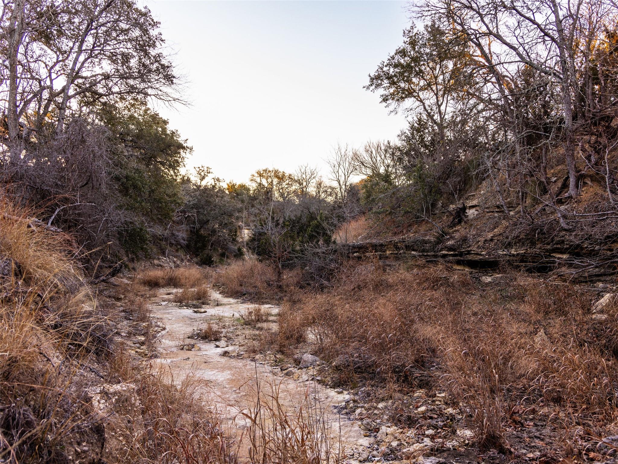 6.56 Acres 1623 Rd Property Photo 19