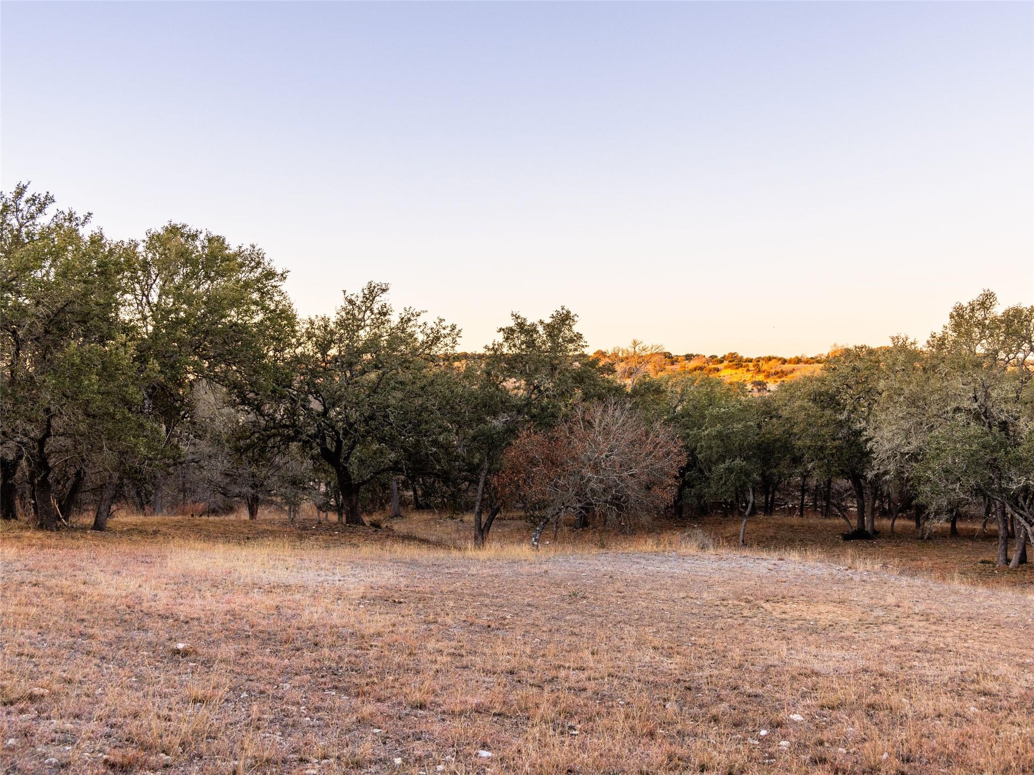 6.56 Acres 1623 Rd Property Photo 22