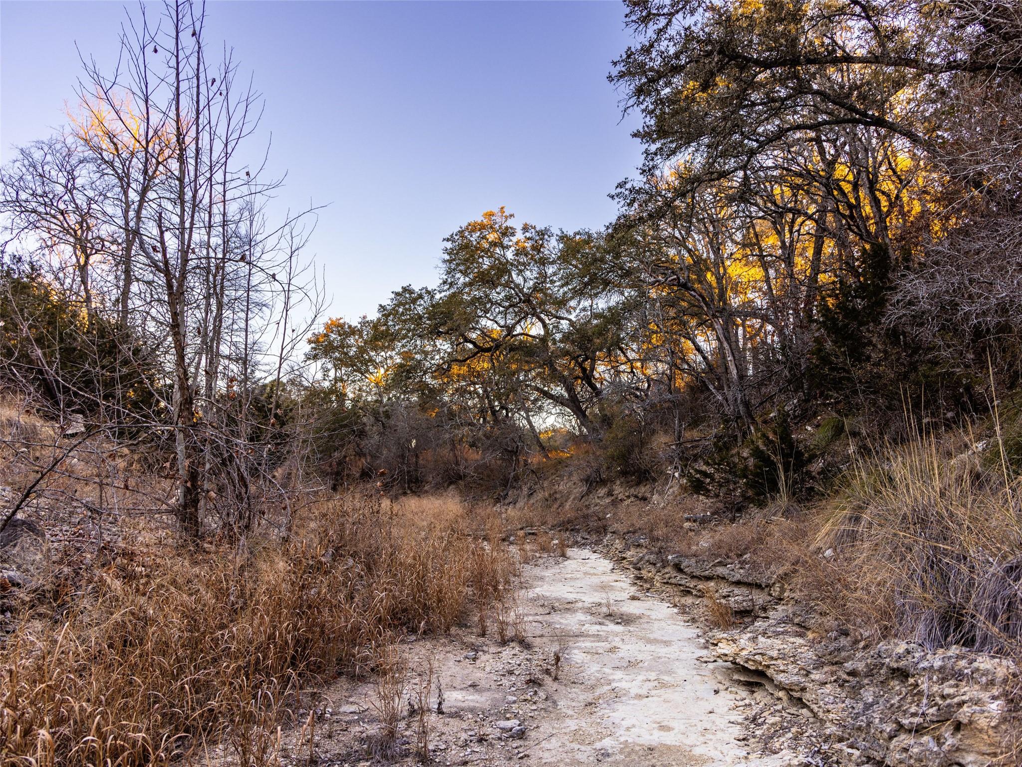6.56 Acres 1623 Rd Property Photo 30